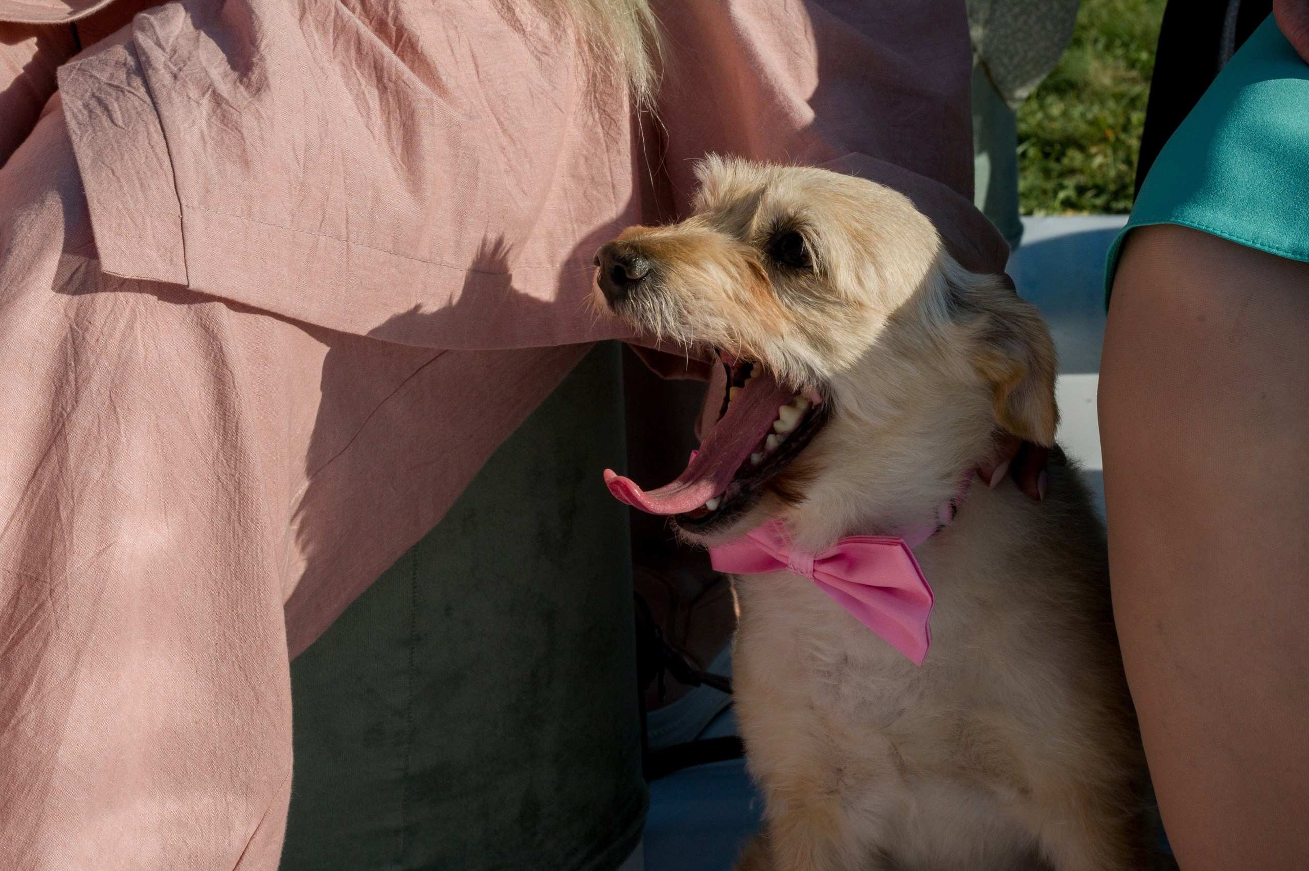 Дмитрий и Ксения. Фотограф Зырянова Яна, Снежинск, Екатеринбург, Челябинск