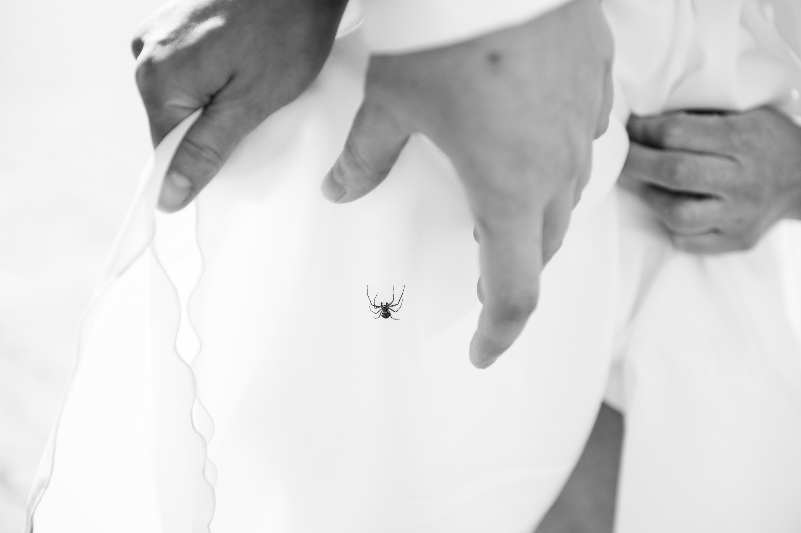 Дмитрий и Ирина. Фотограф Зырянова Яна, Снежинск, Екатеринбург, Челябинск