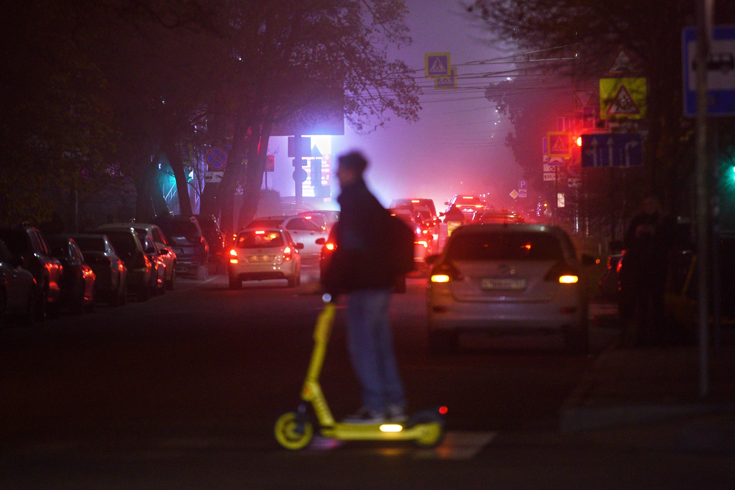 Жизнь, люди, стрит, вокруг, животные, на улице. Яркие фото на Чёрном море