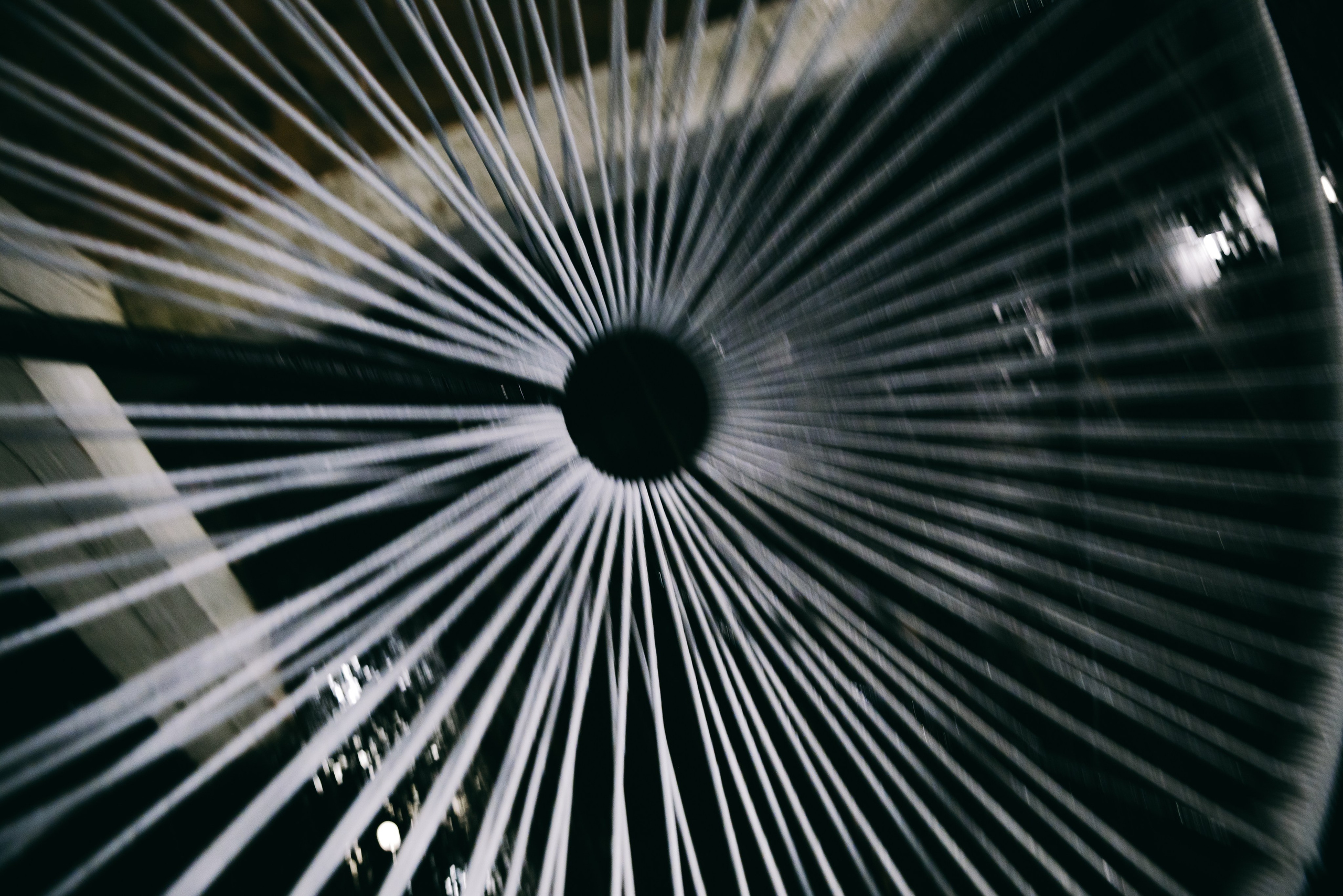 Донвард. Фотограф Астафьева Мария