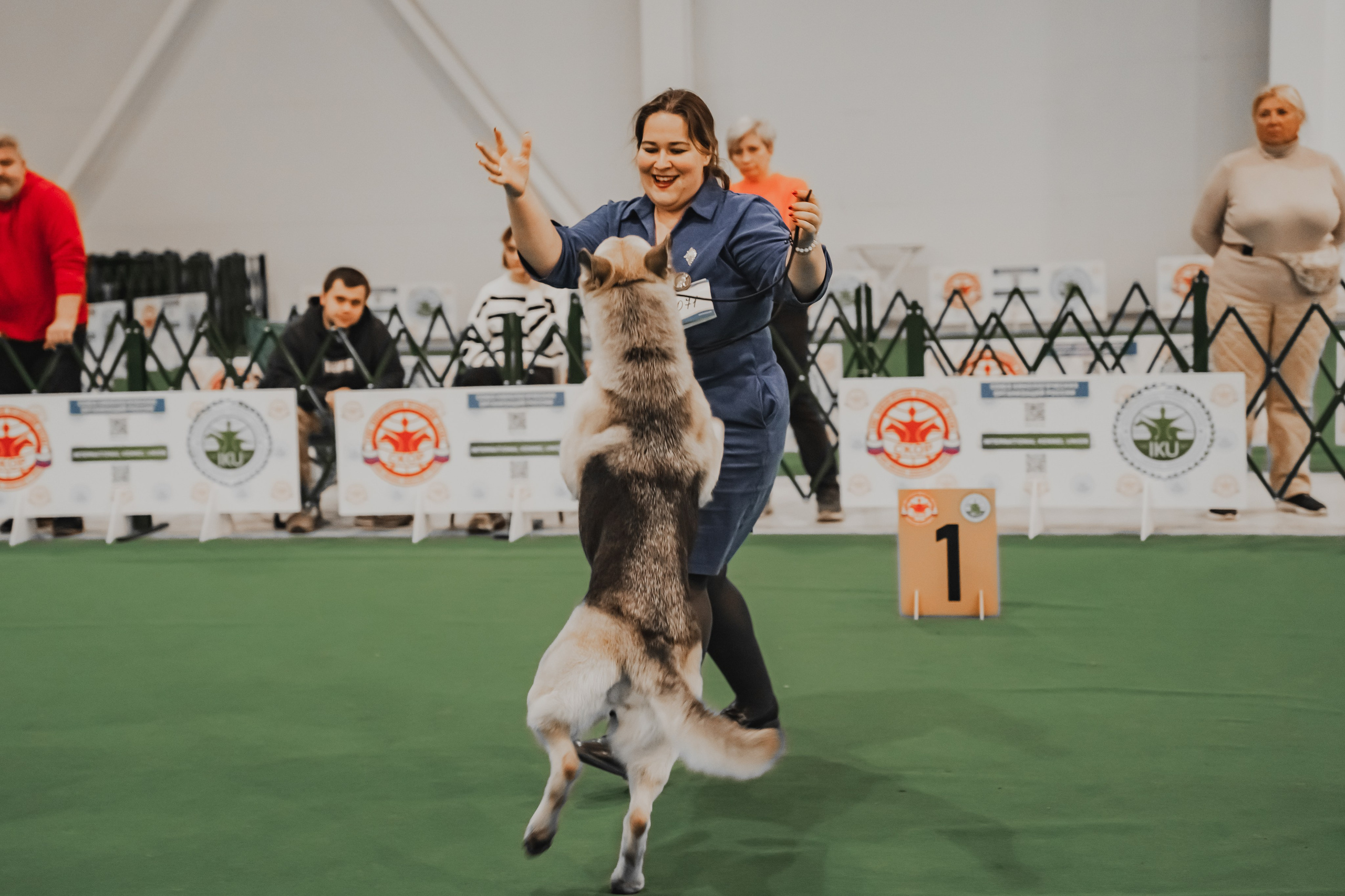 Международная выставка собак всех пород. Репортажный фотограф Анастасия Рубцова