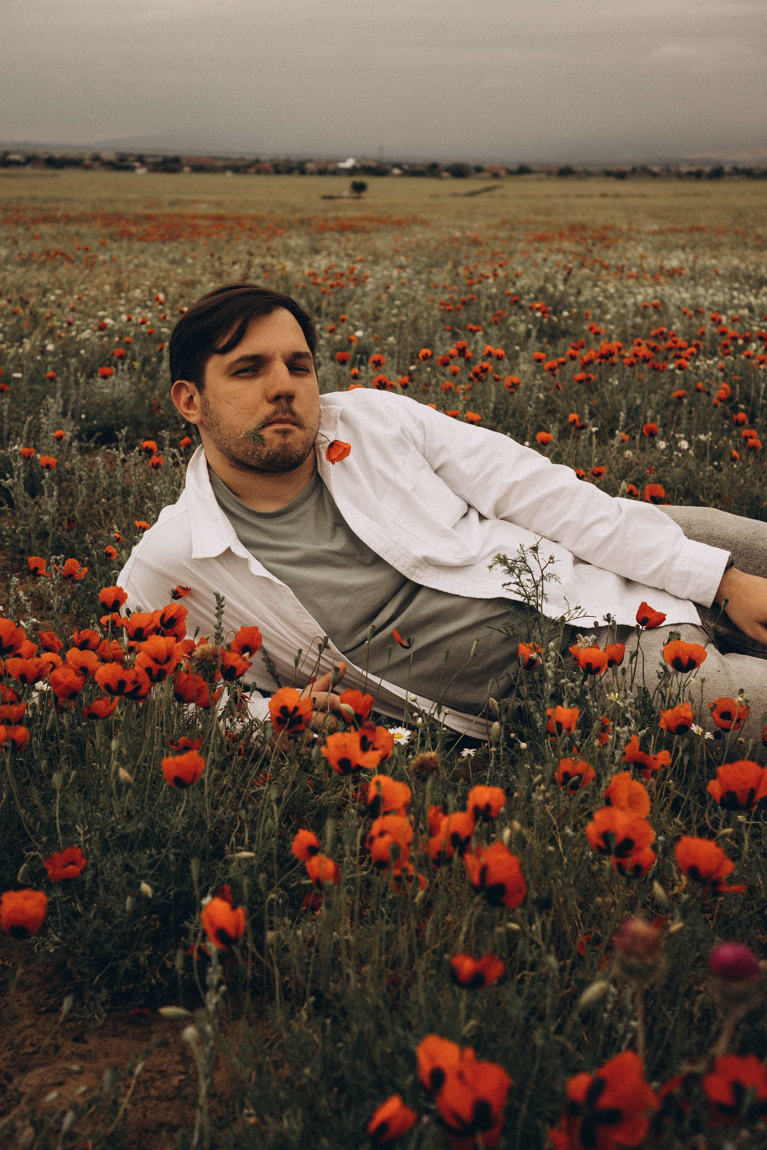 Маки. Профессиональный фотограф, Санкт-Петербург — Виктория Богомолова