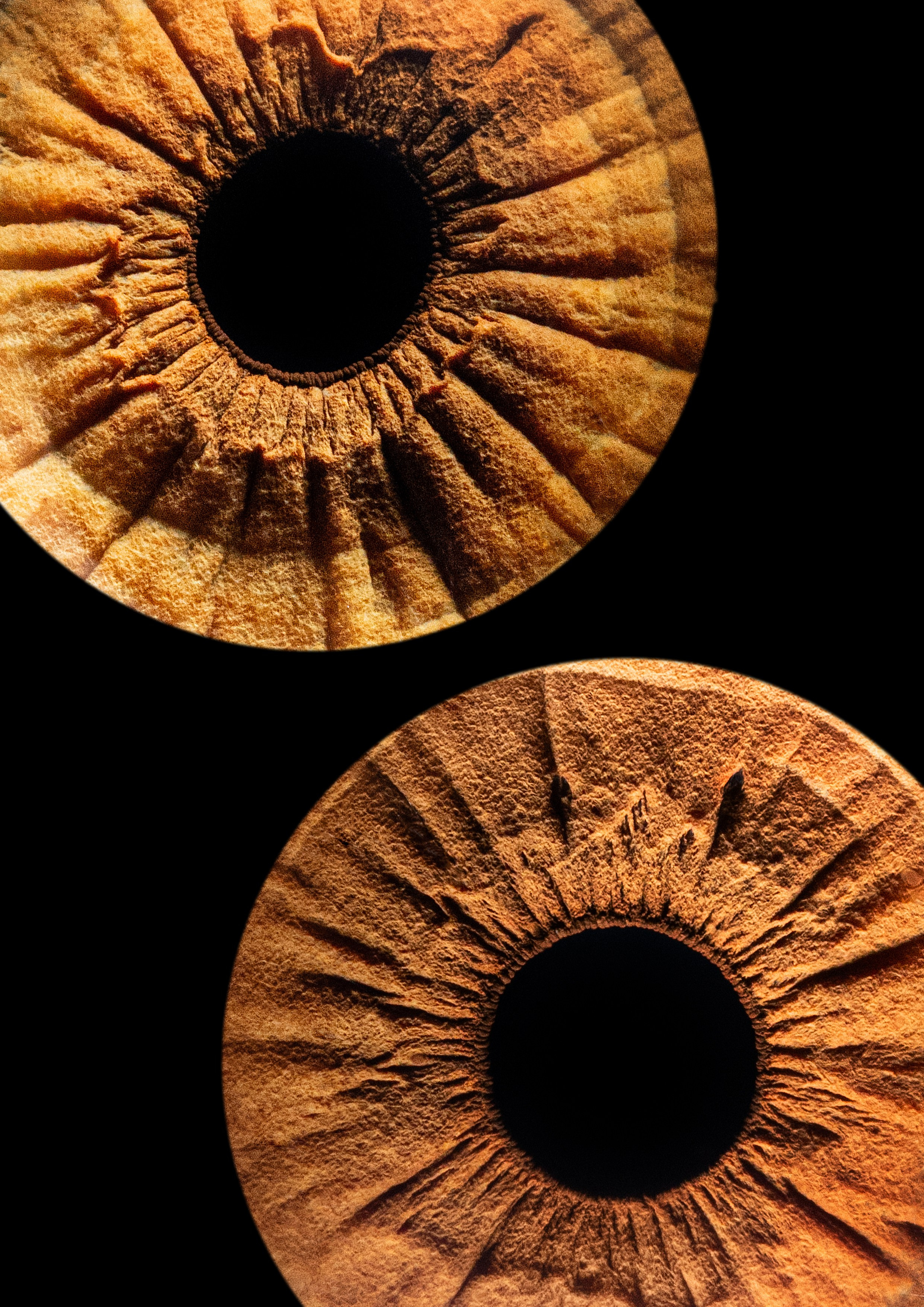 фотография радужки глаза Хабаровск фото радужки глаза Хабаровск