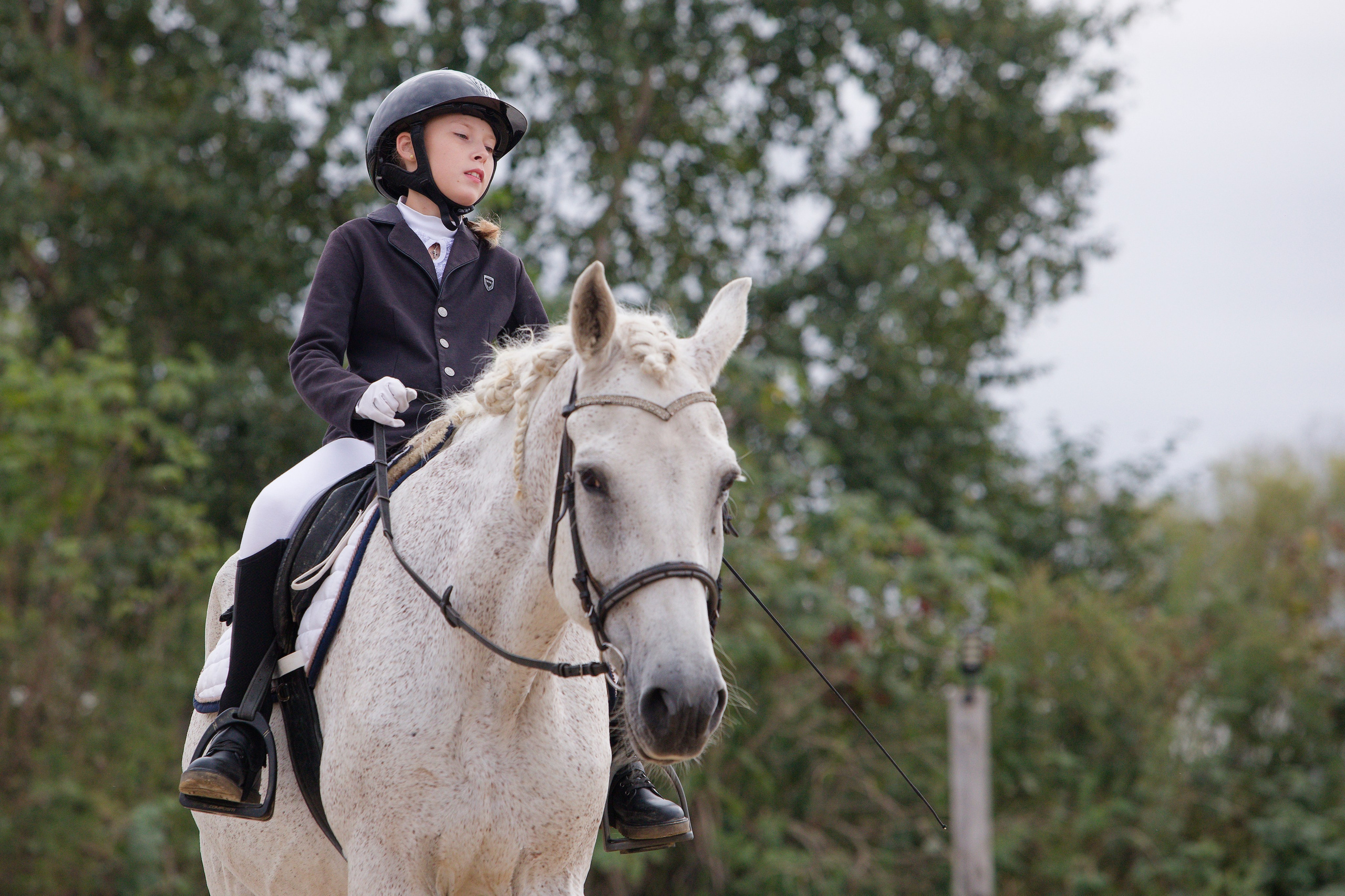 Всероссийские соревнования по конному спорту. Кутузов Евгений Фотограф в Южно-Сахалинске