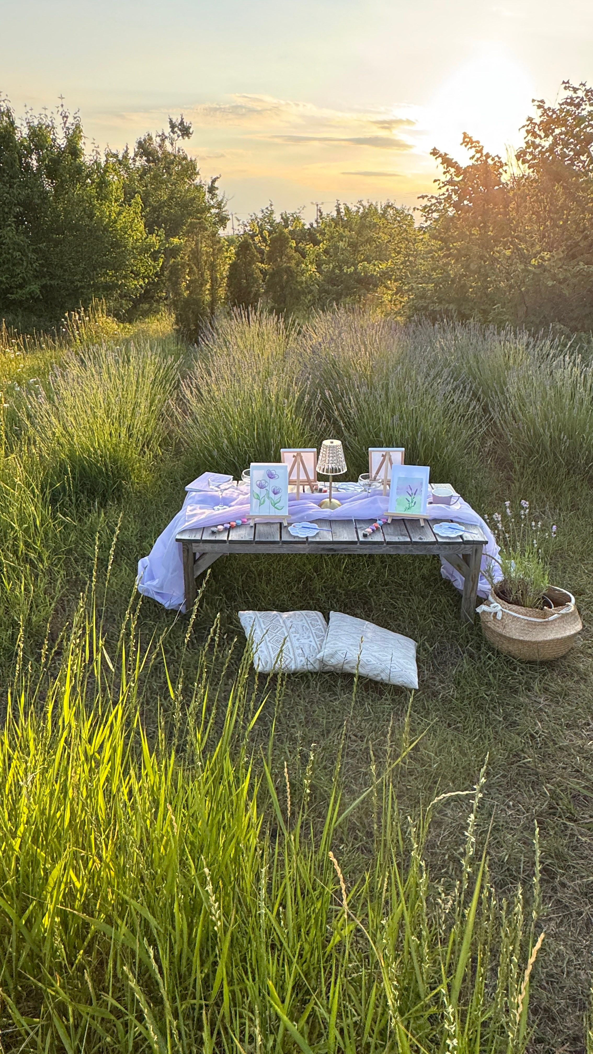 Лаванда. Фотостудия Натальи Забродской