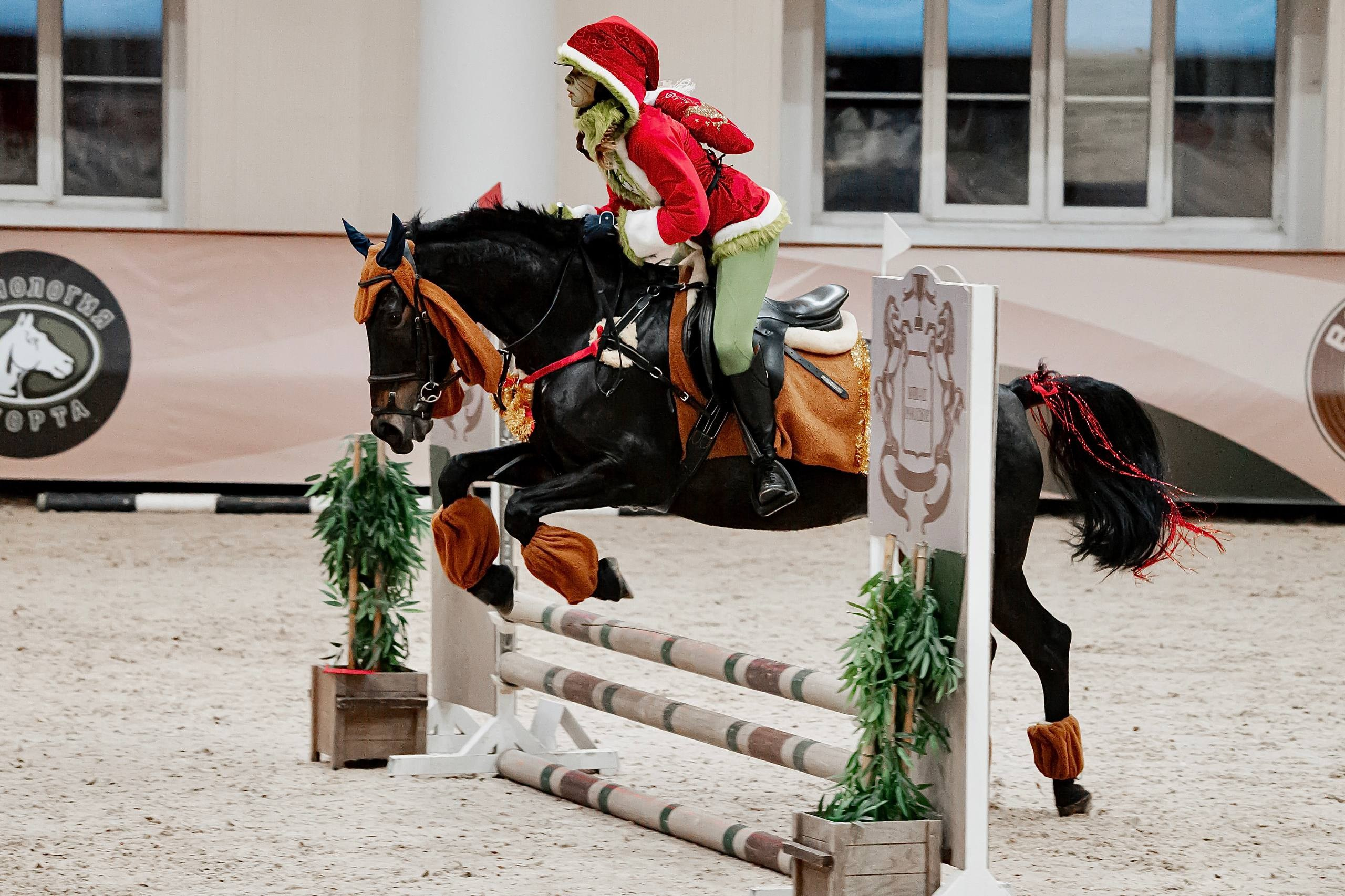 НОВОГОДНИЕ КЛУБНЫЕ СОРЕВНОВАНИЯ ПО КОНКУРУ. Куракина Дарья • Конный фотограф