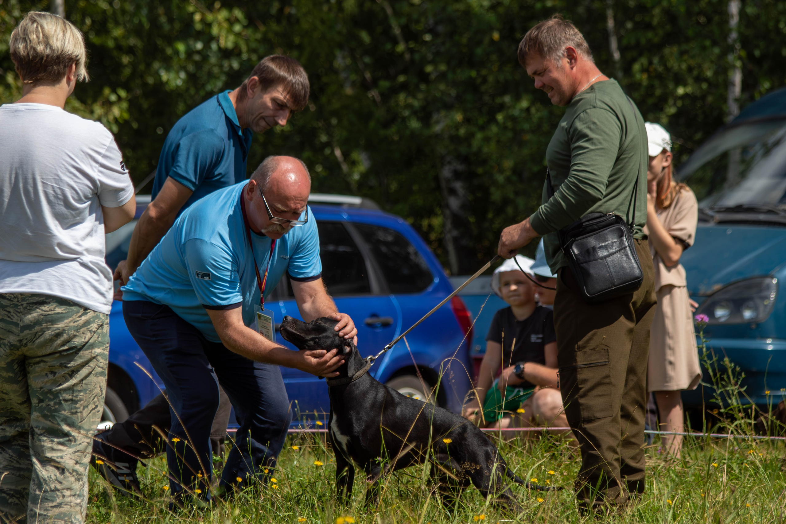 Репортажная съемка в Туле. Фотограф анималист — Тула, Москва
