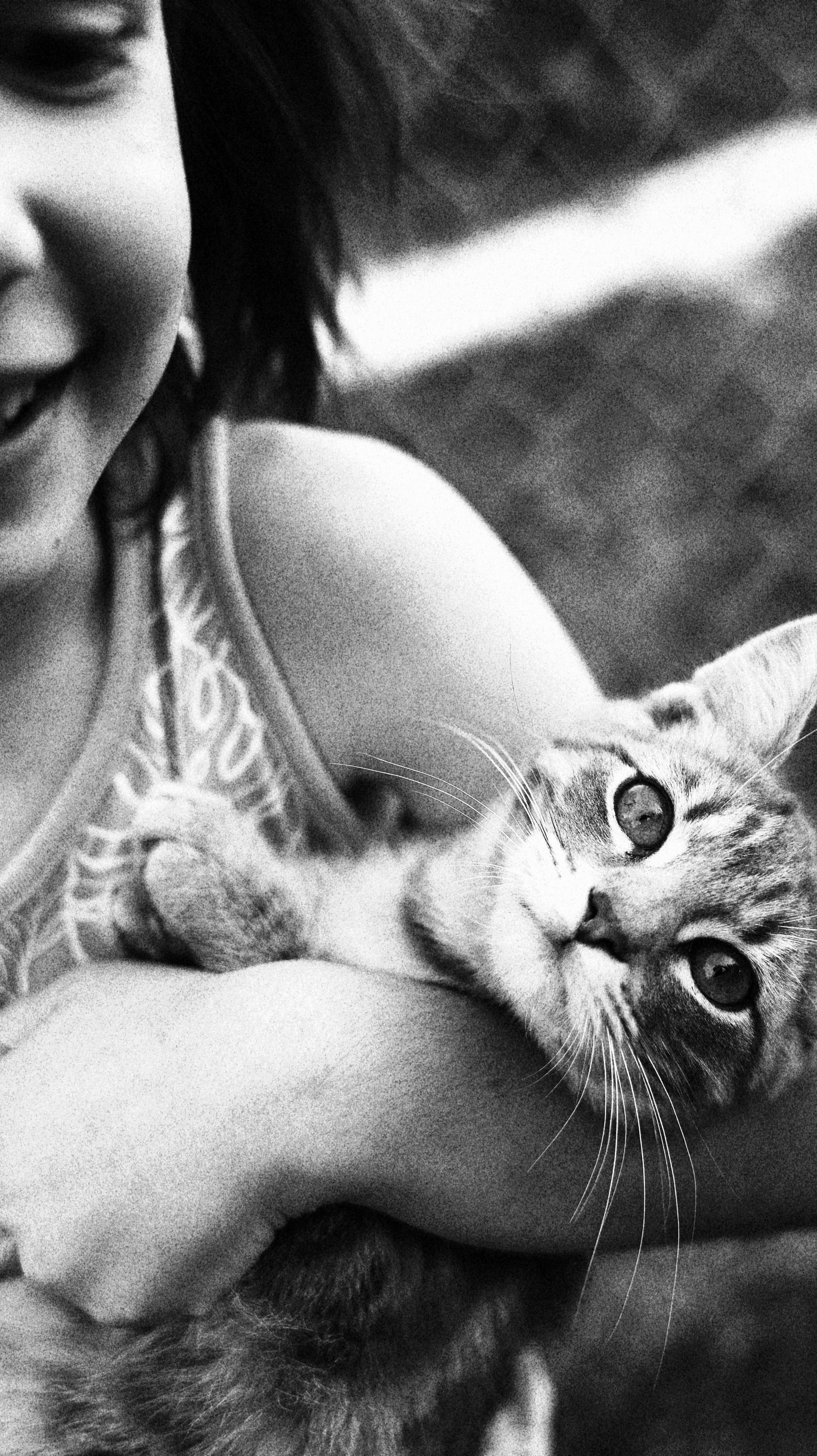 Обучение «Мобильная съёмка». Фотограф Краснодарский край