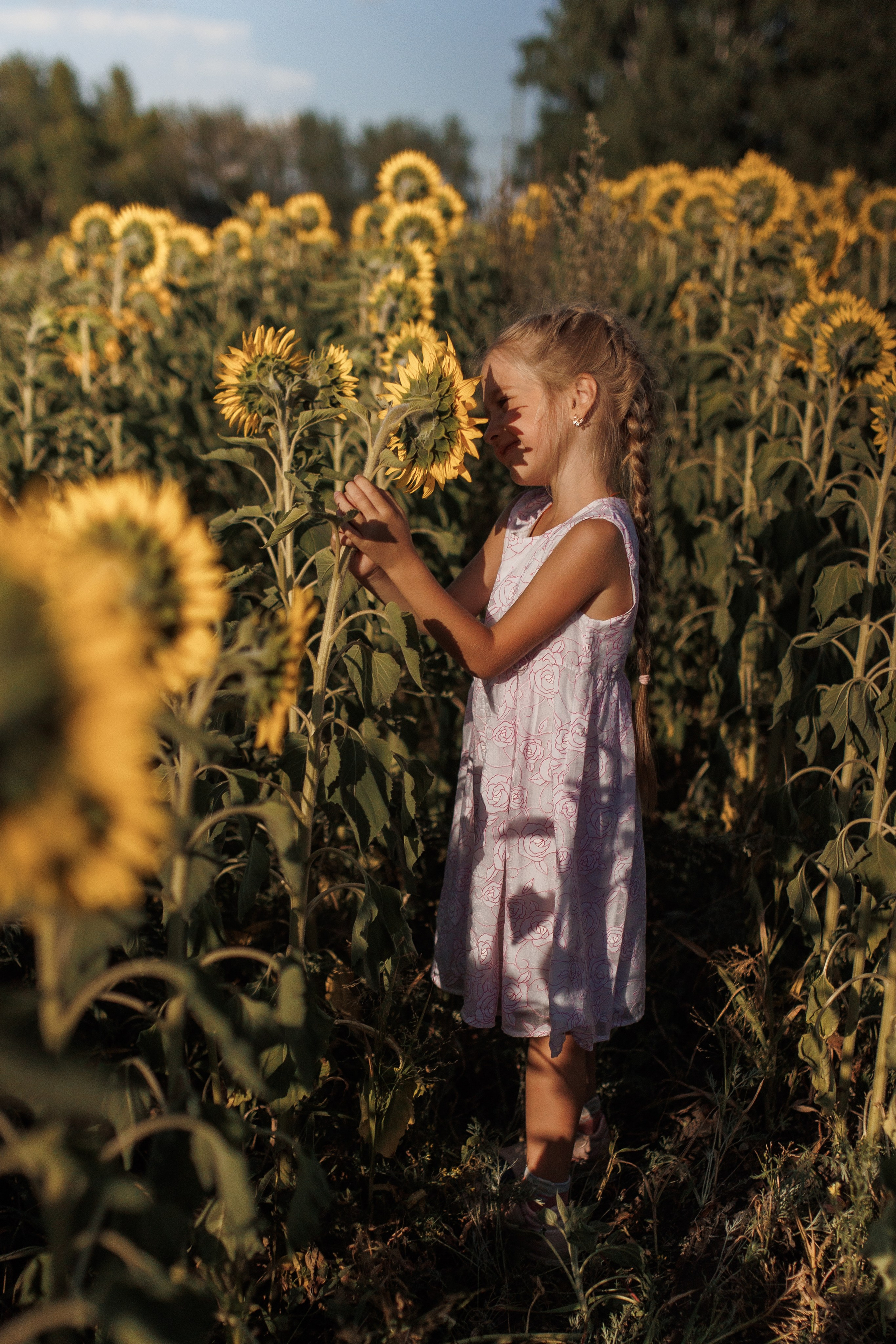Дети и подсолнухи. Семейный фотограф lifestyle в Новосибирске Елена Шпилевая
