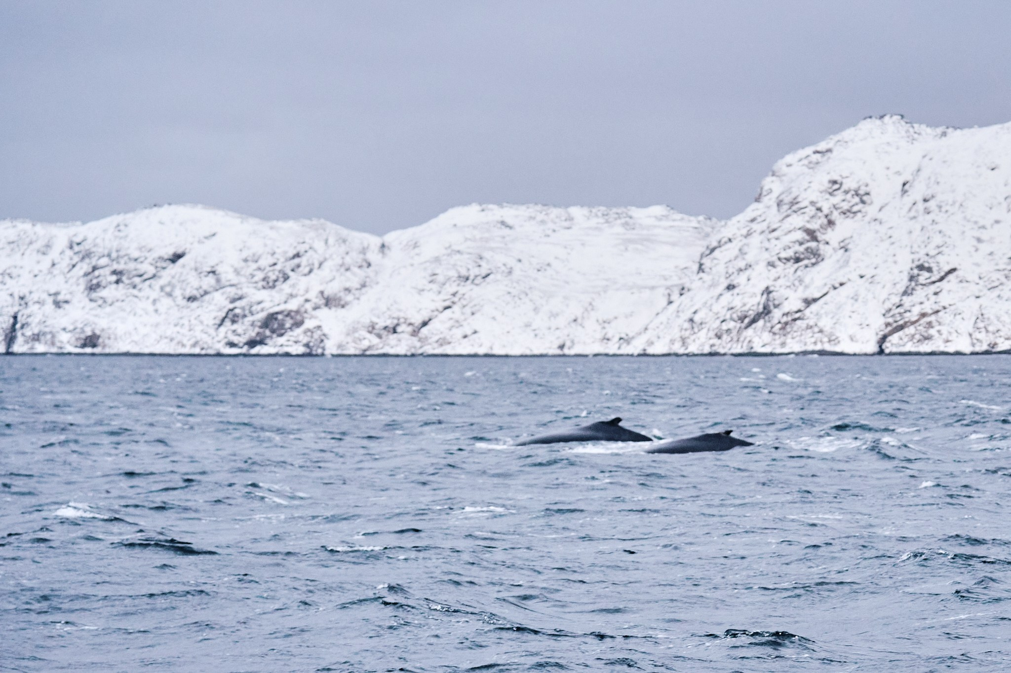 Путешествие в Арктику в 2023 году. Внедорожные путешествия — OFFROADTRIP