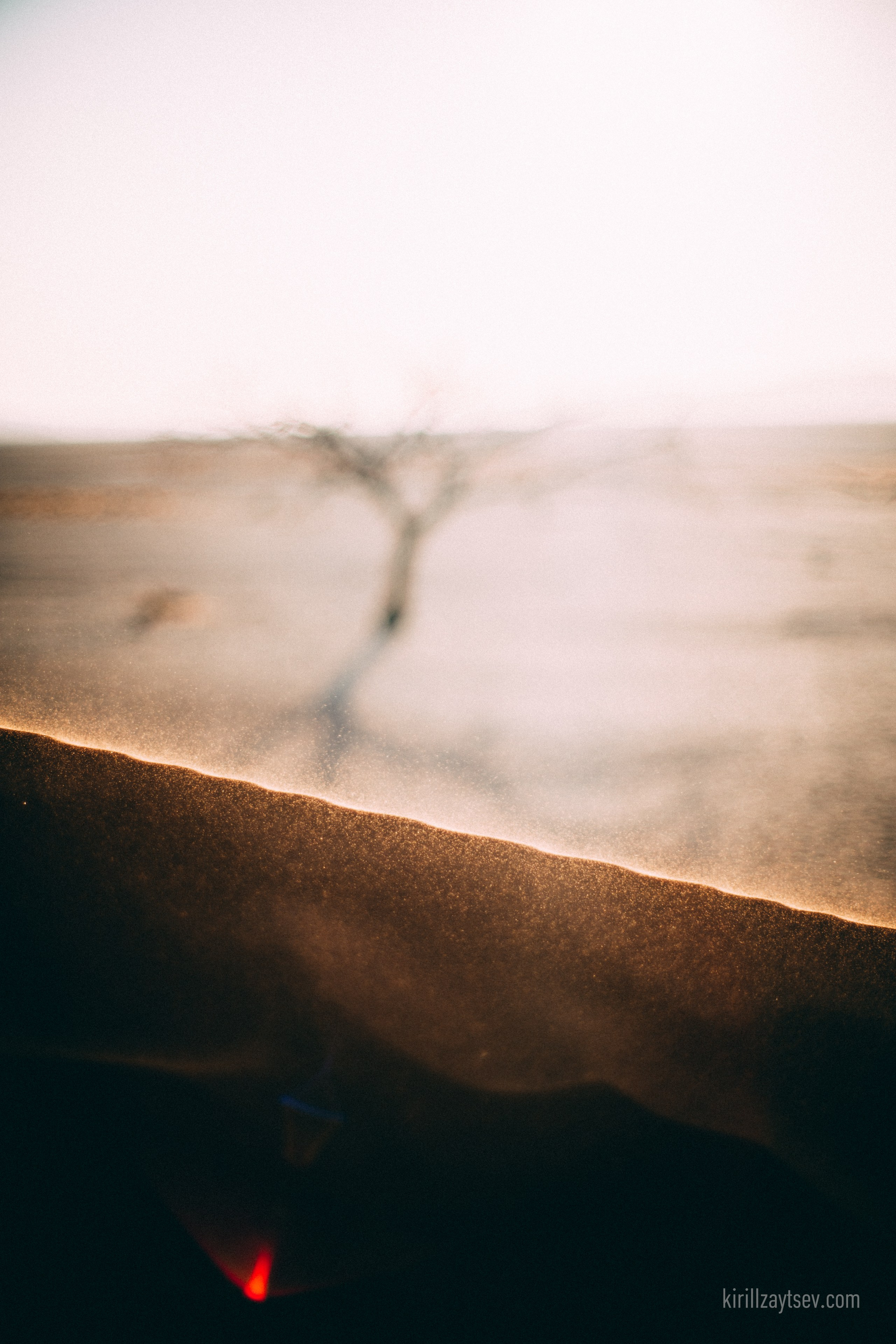 Жизнь. Профессиональный фотограф Кирилл Зайцев