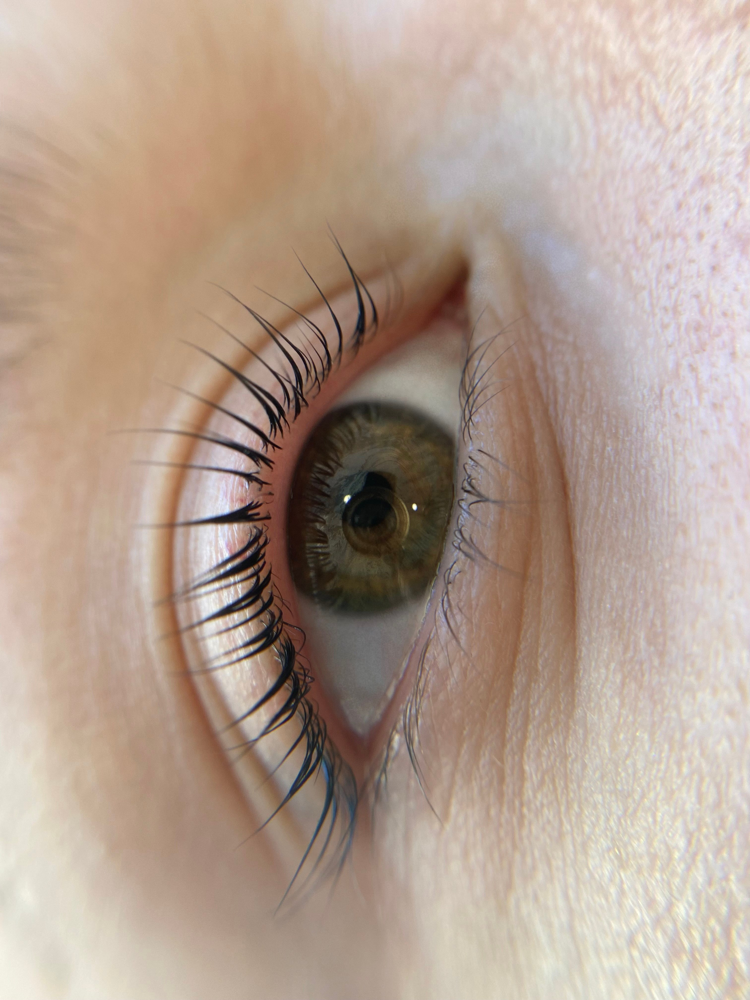 Ламинирование ресниц в Москве. СВАДЕБНЫЙ ВИЗАЖИСТ-СТИЛИСТ В МОСКВЕ ПРИЧЕСКИ МАКИЯЖ БРОВИ ВЫЕЗД