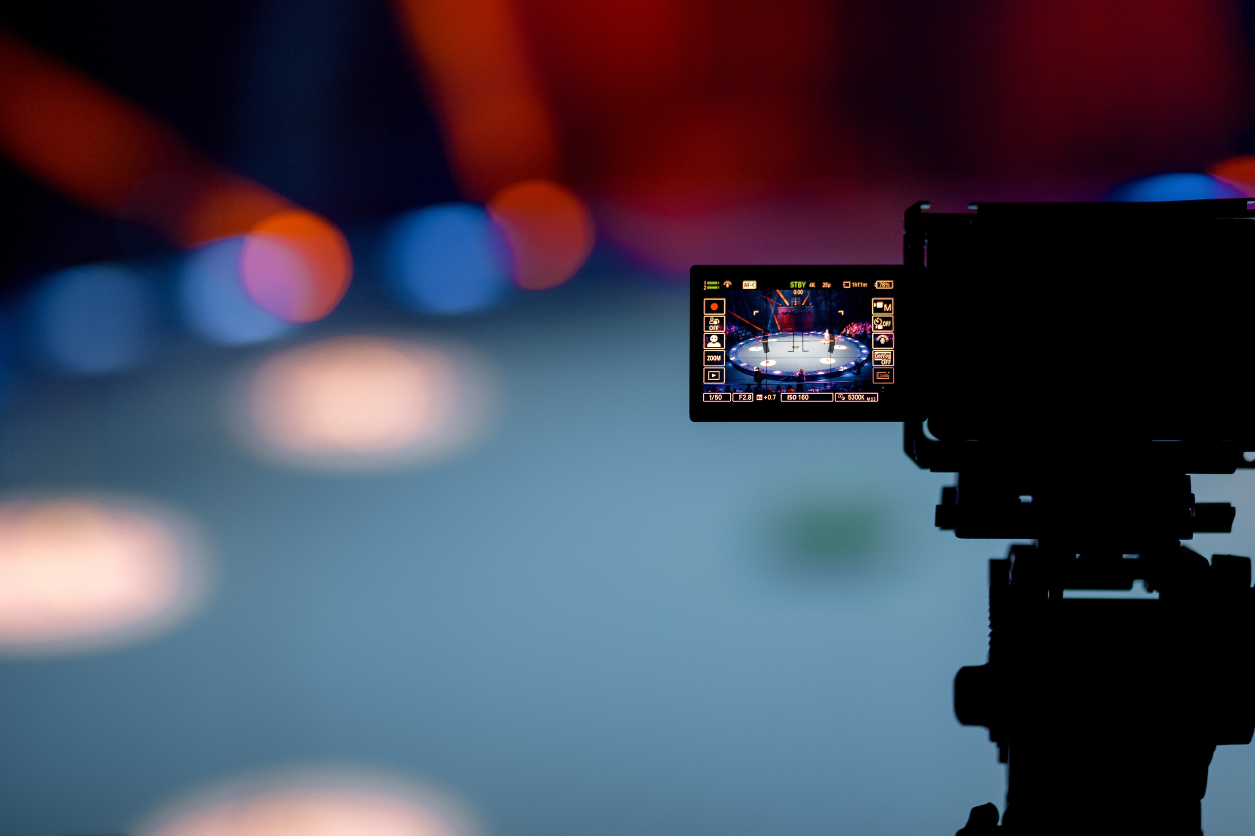 Цирк Moretti в Иркутске. Свадебный фотограф Иркутск, репортажный фотограф Иркутск