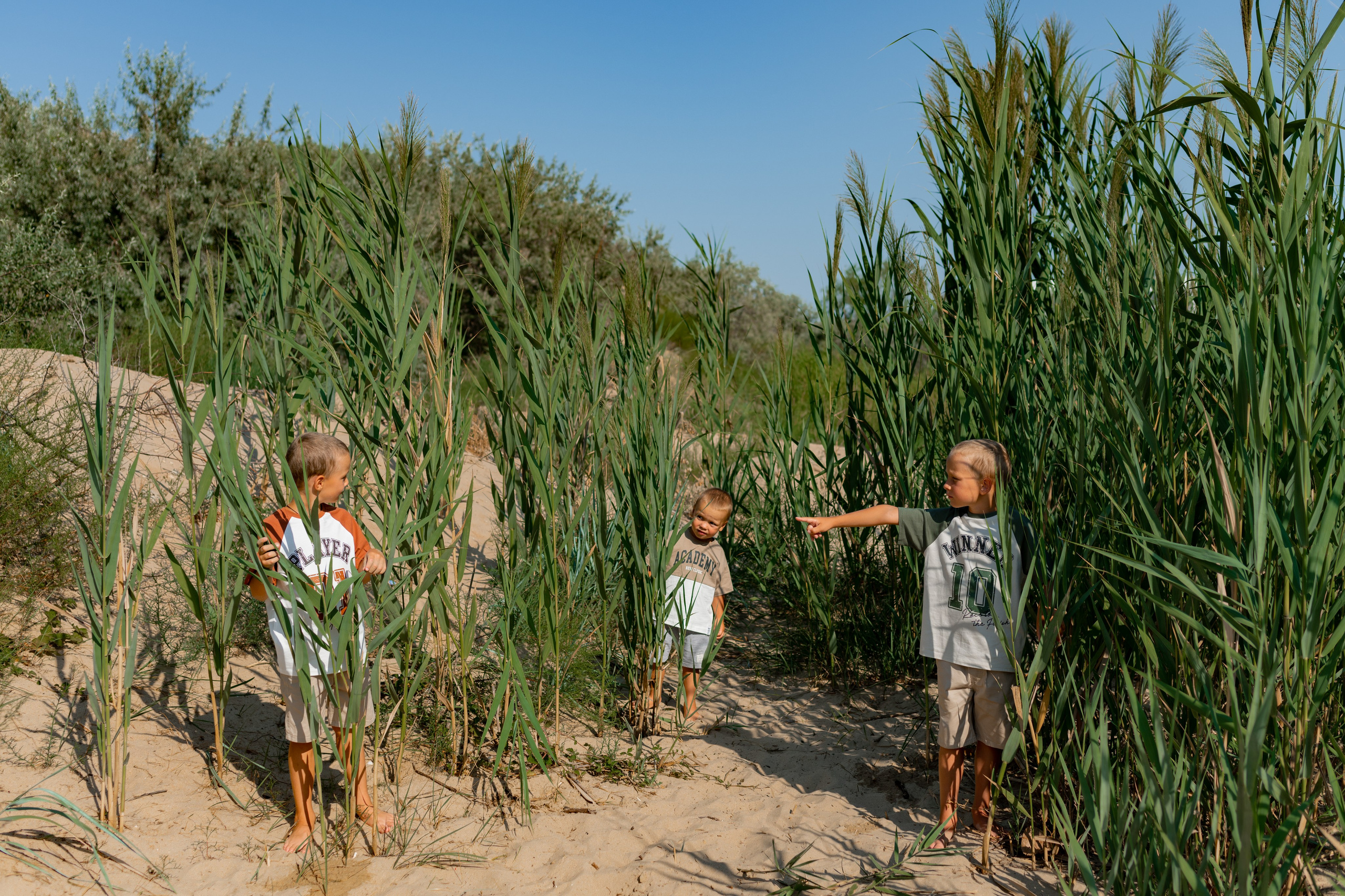 Семейная на море. Фотограф в Москве/Зарайске Шахова Марина