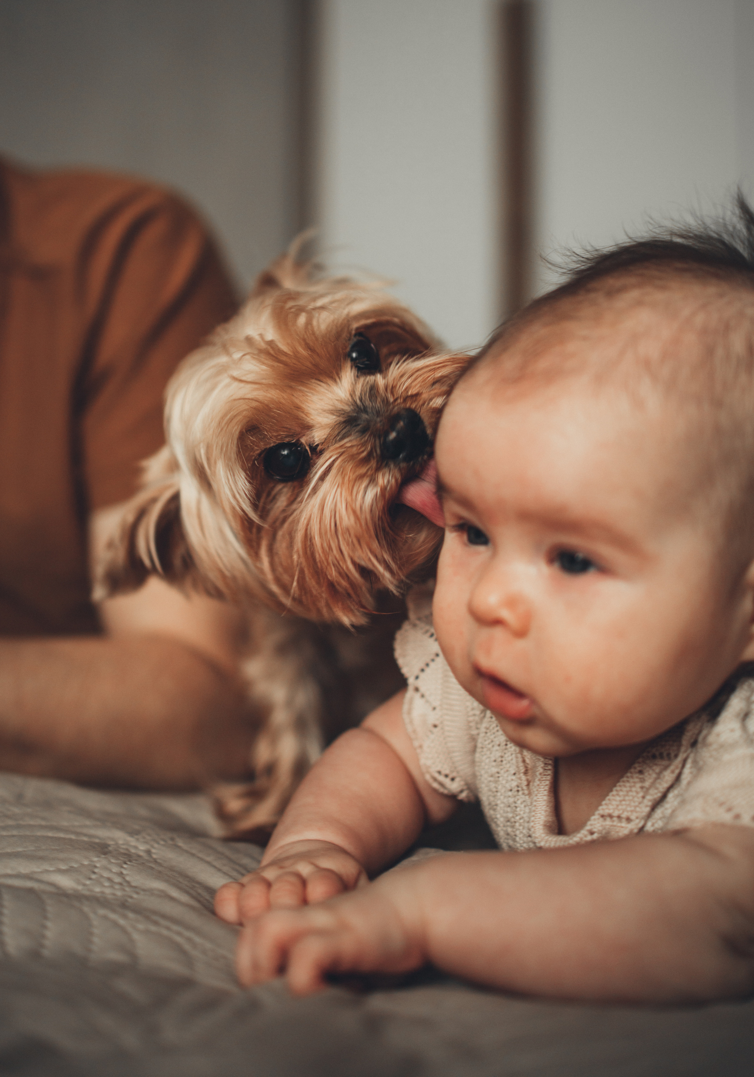 Первый цветок. Семейный lifestyle фотограф в Казани Ксения Верясова