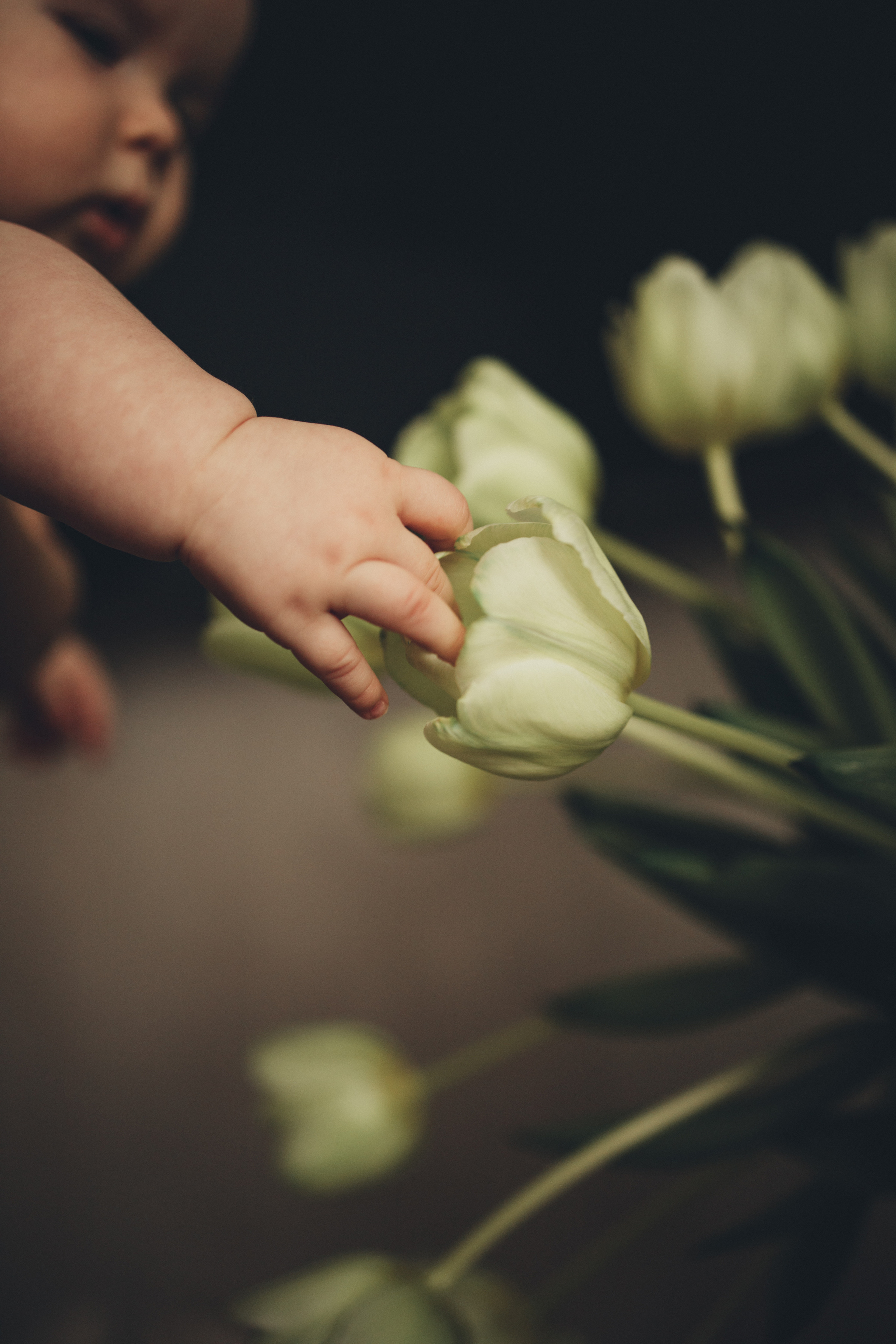 Первый цветок. Семейный lifestyle фотограф в Казани Ксения Верясова