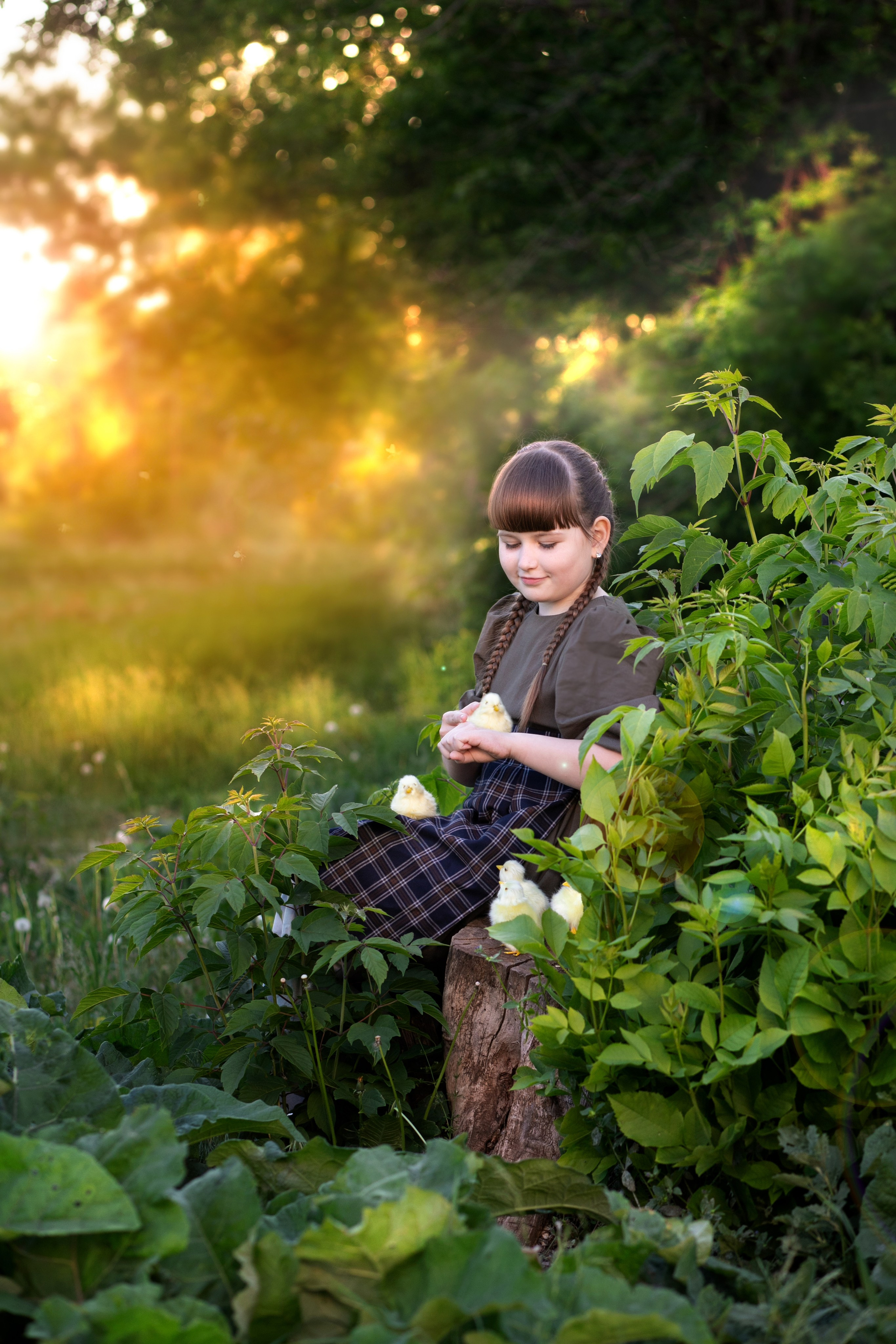 Девочка и цыплята. Фотограф Кравченко Юлия. Энгельс