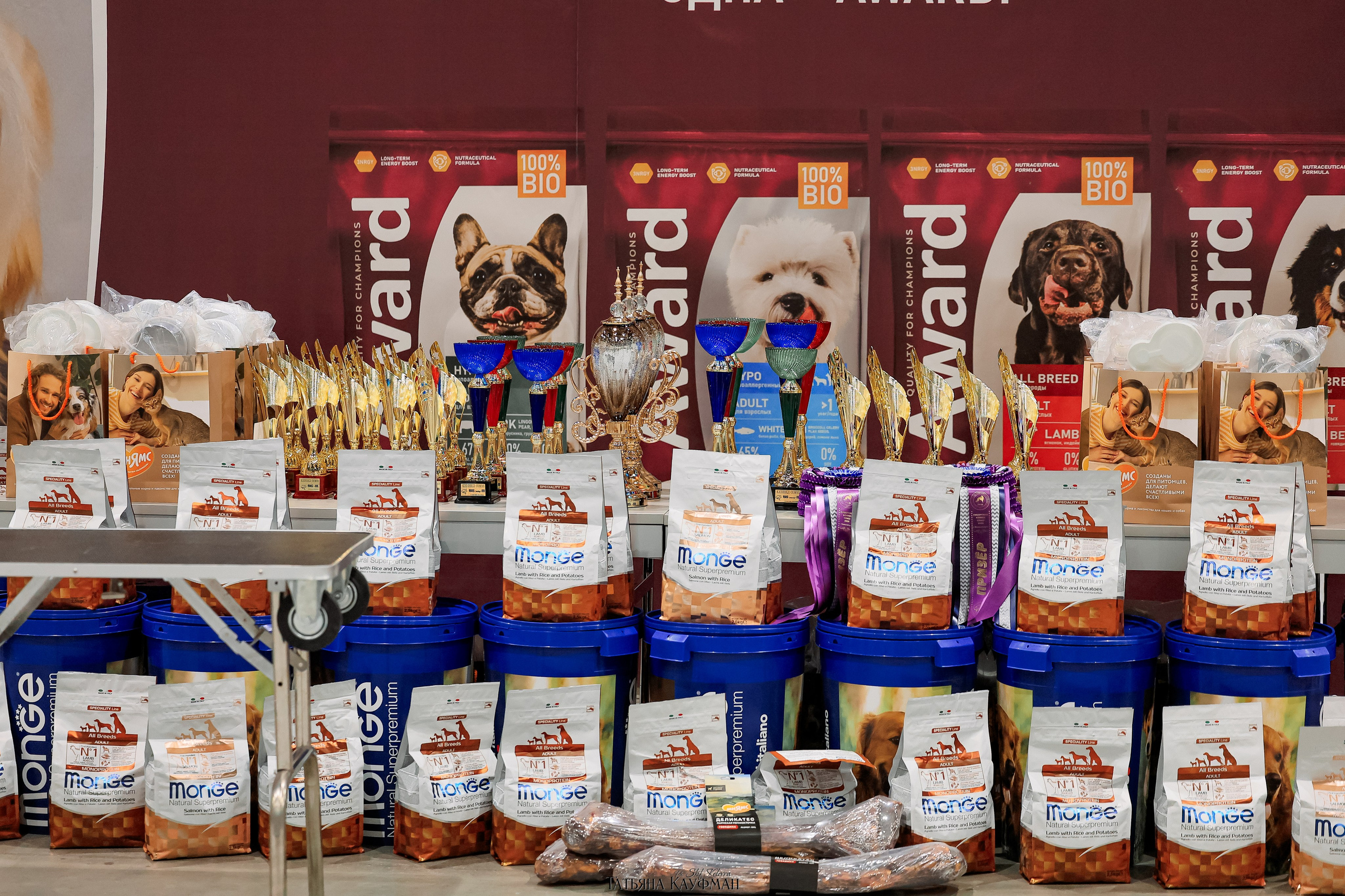 28-29.03.2026 Рейтинговая выставка в Новосибирске. Фотограф Анималист из Новосибирска Татьяна Кауфман