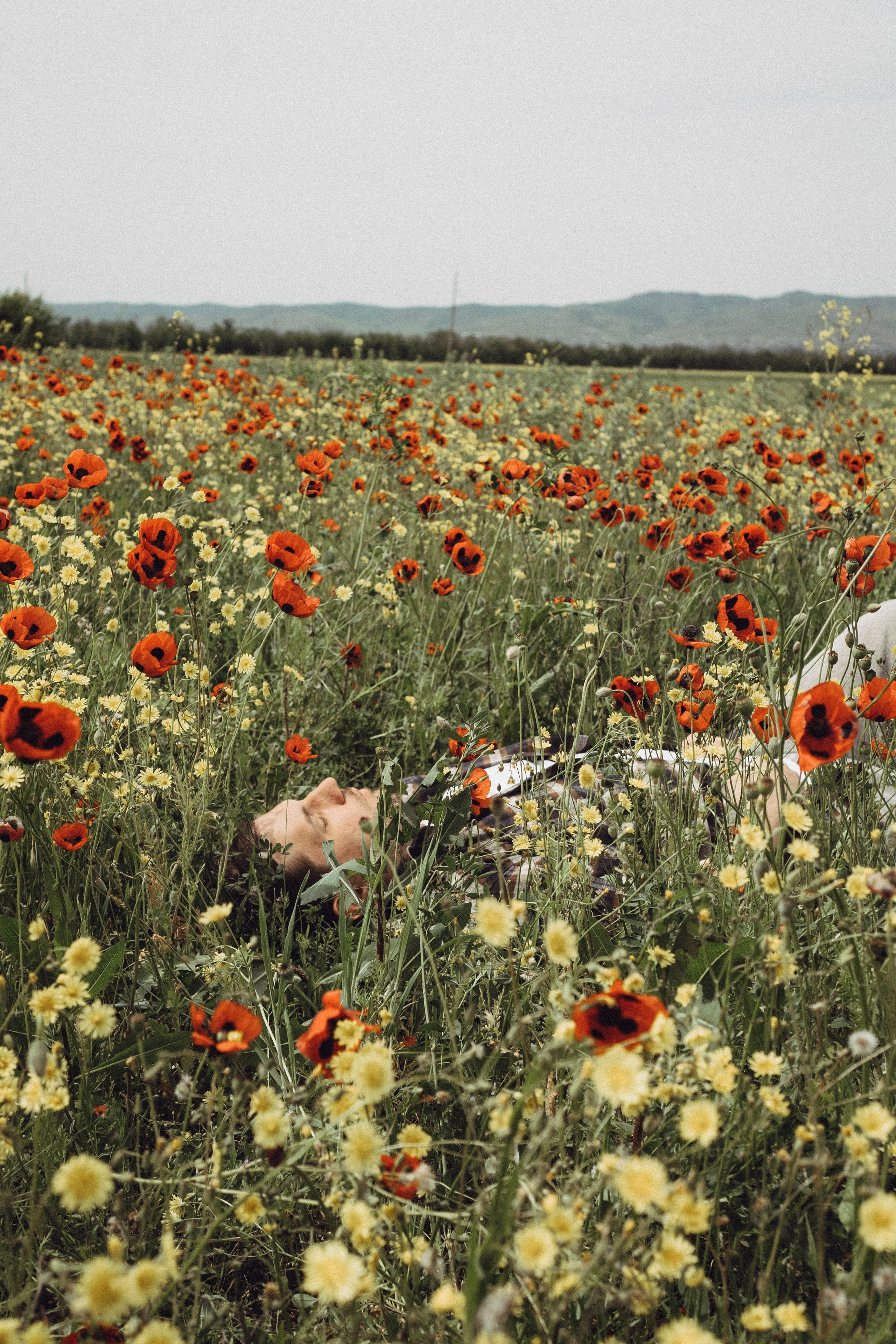 Маки. Профессиональный фотограф, Санкт-Петербург — Виктория Богомолова