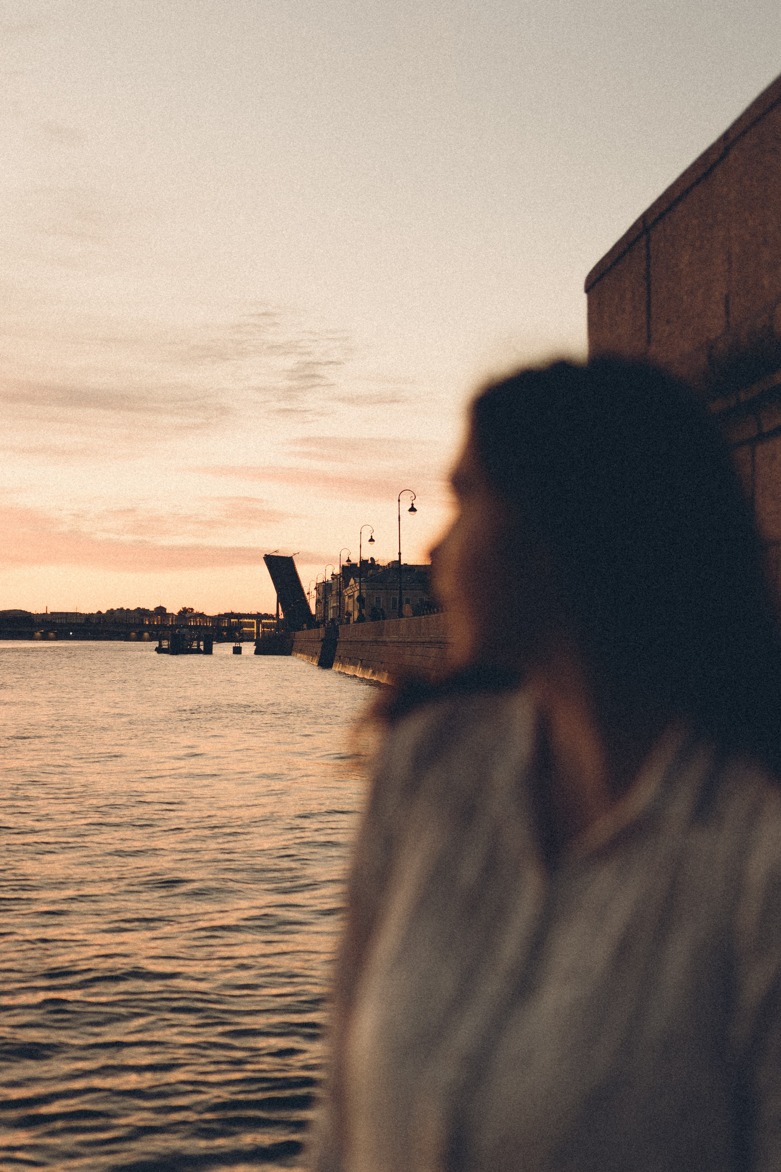 РАССВЕТ С РАЗВОДНЫМИ МОСТАМИ. Профессиональный фотограф, Санкт-Петербург — Виктория Богомолова