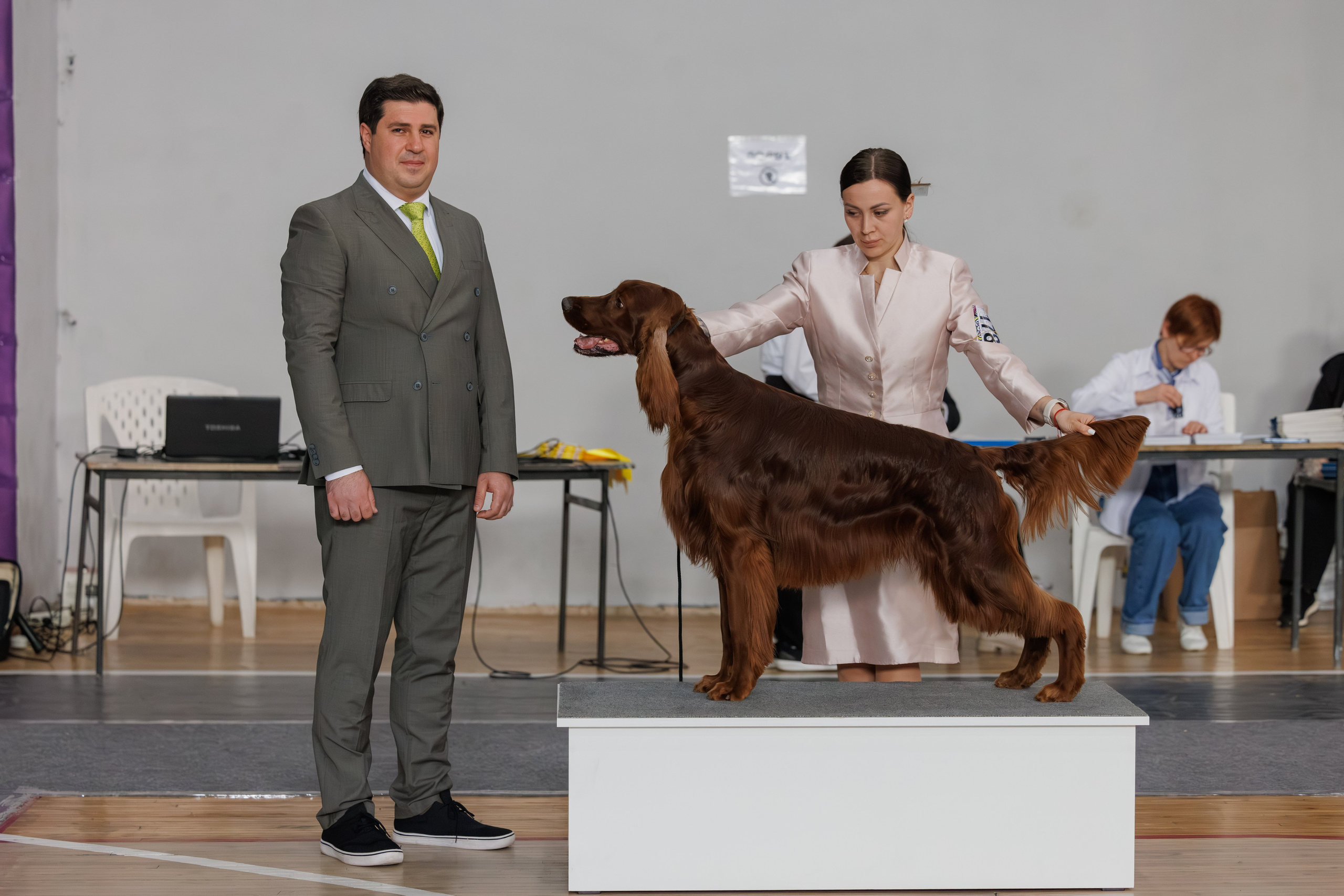 Ереван 2х CACIB 29-30.04.2025. Фотограф-анималист Юлия Германика