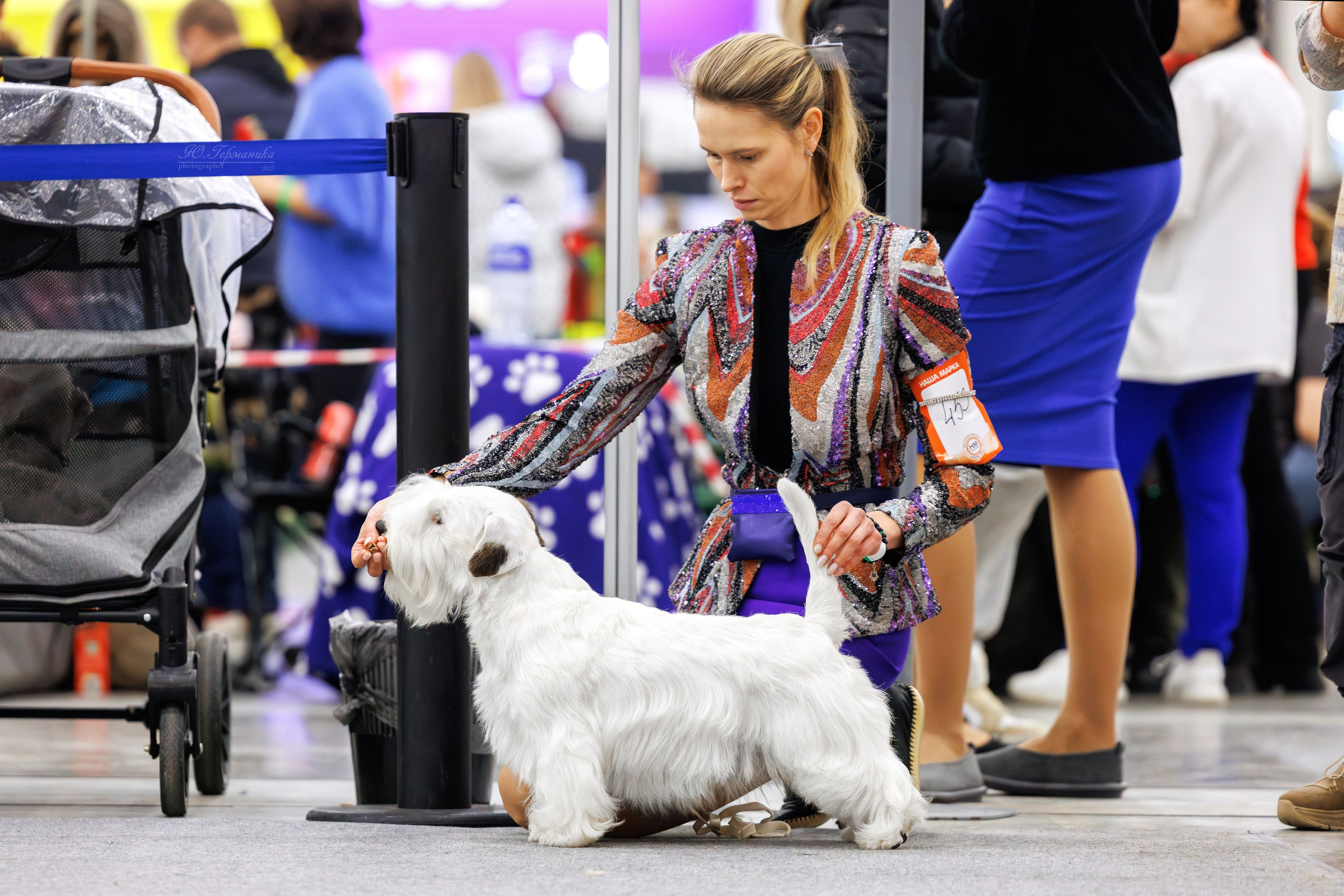 Питер 12-13.12.2025. Фотограф-анималист Юлия Германика