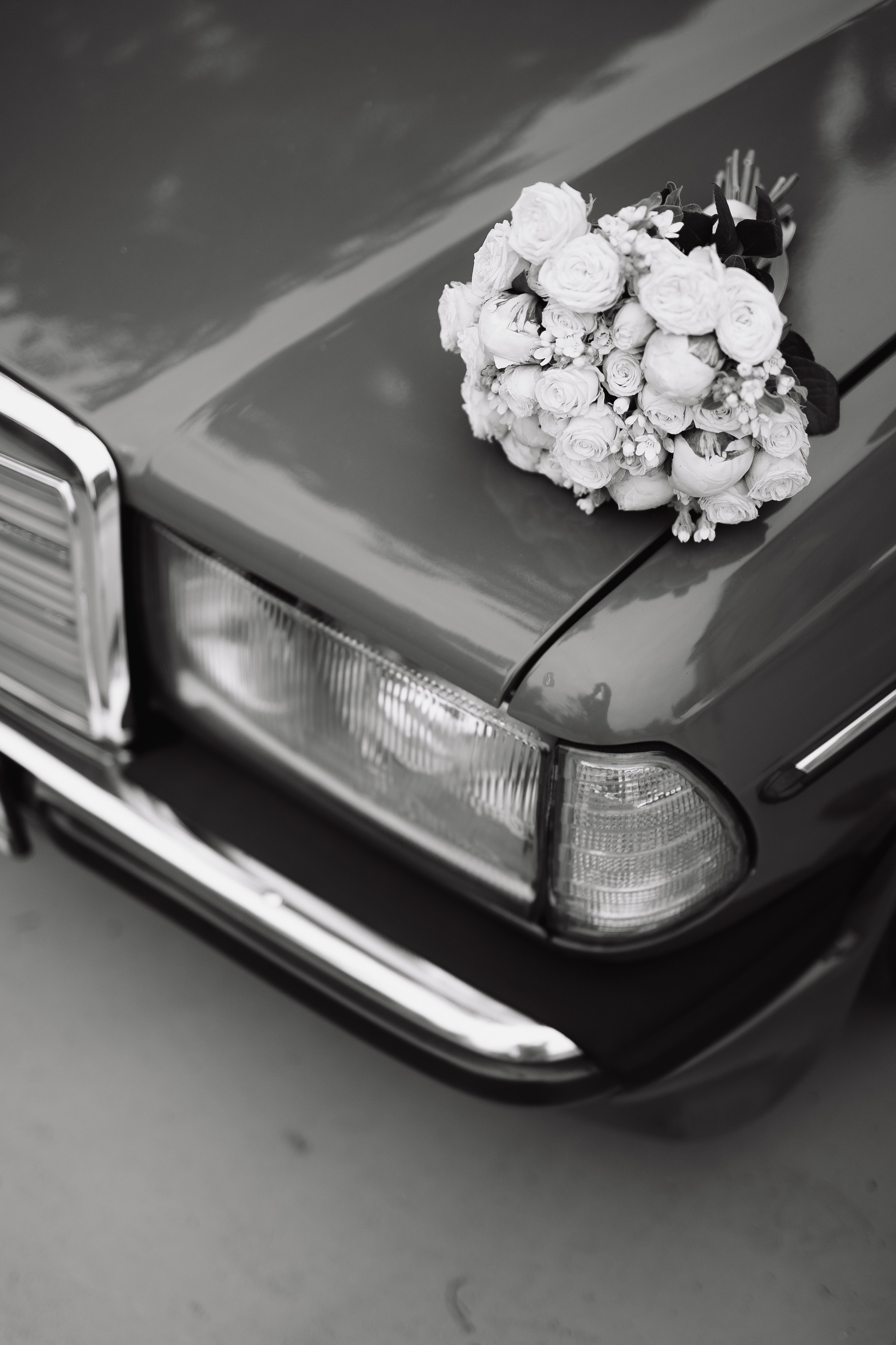 Е & E`23. Фотограф Кольчугино/Владимир/Москва Елизавета Иода