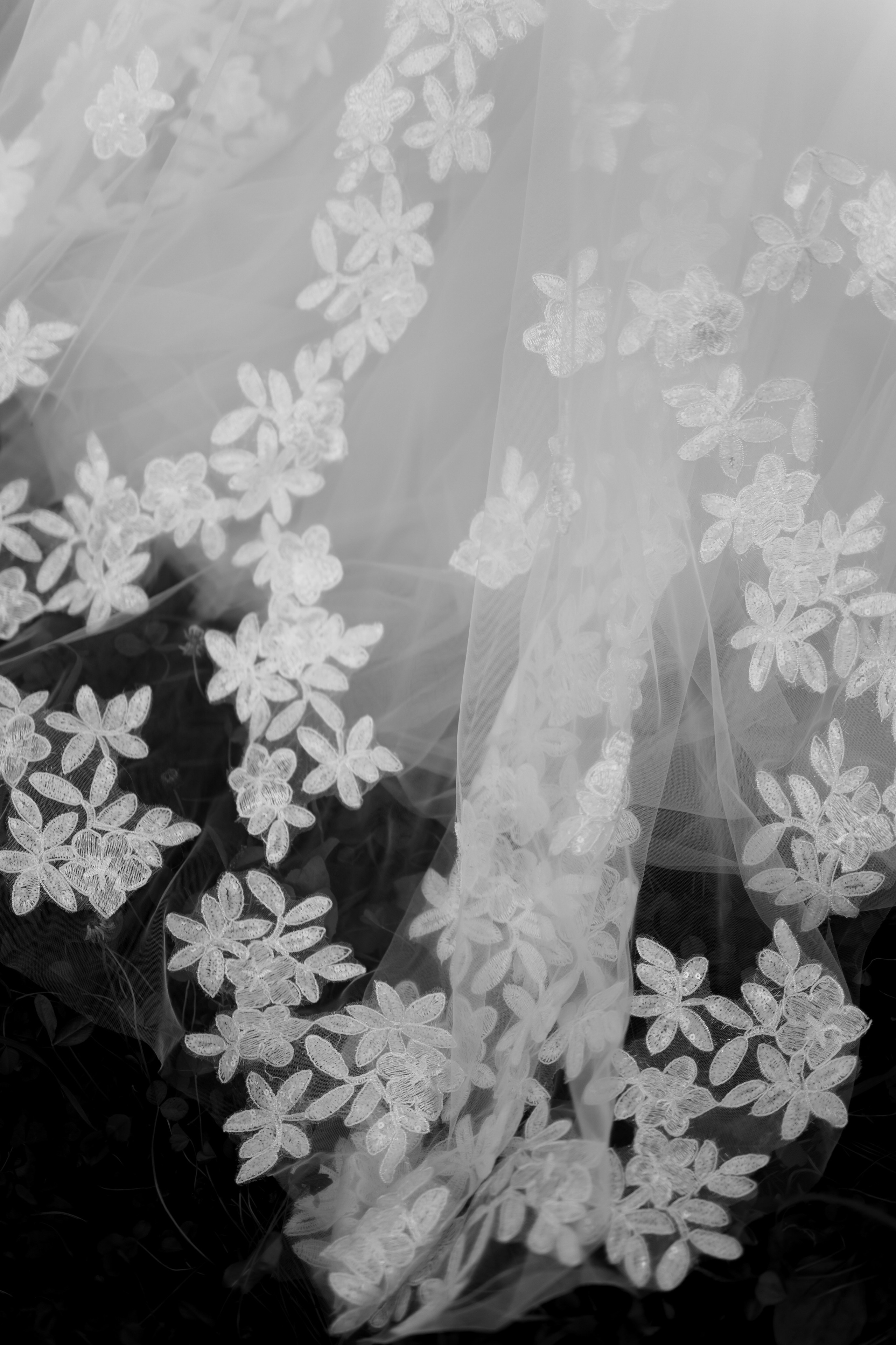 Свадьба Ильи и Натальи. Фотограф Кольчугино/Владимир/Москва Елизавета Иода