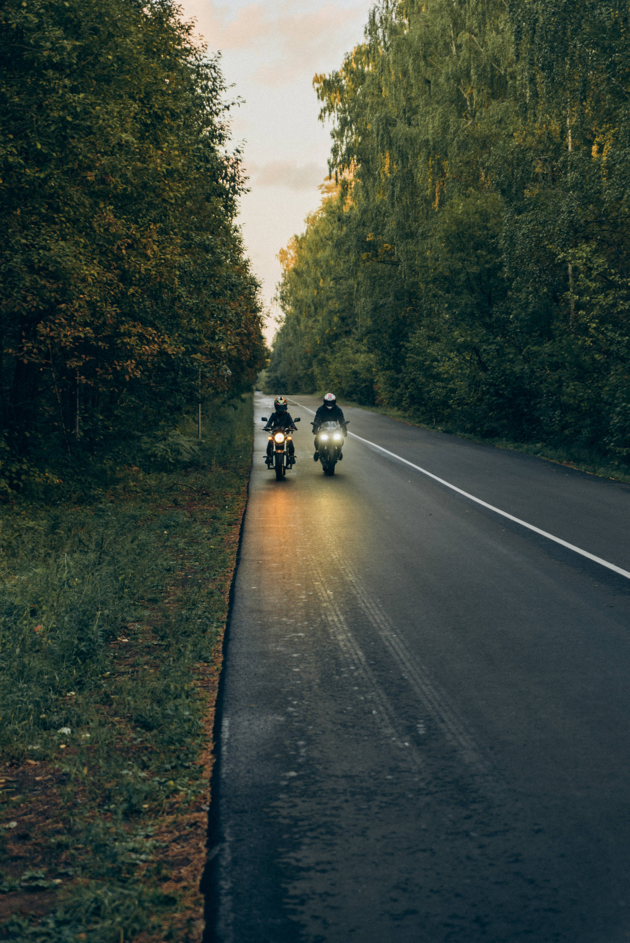 Отзывы. Фотограф Данил Бушуев