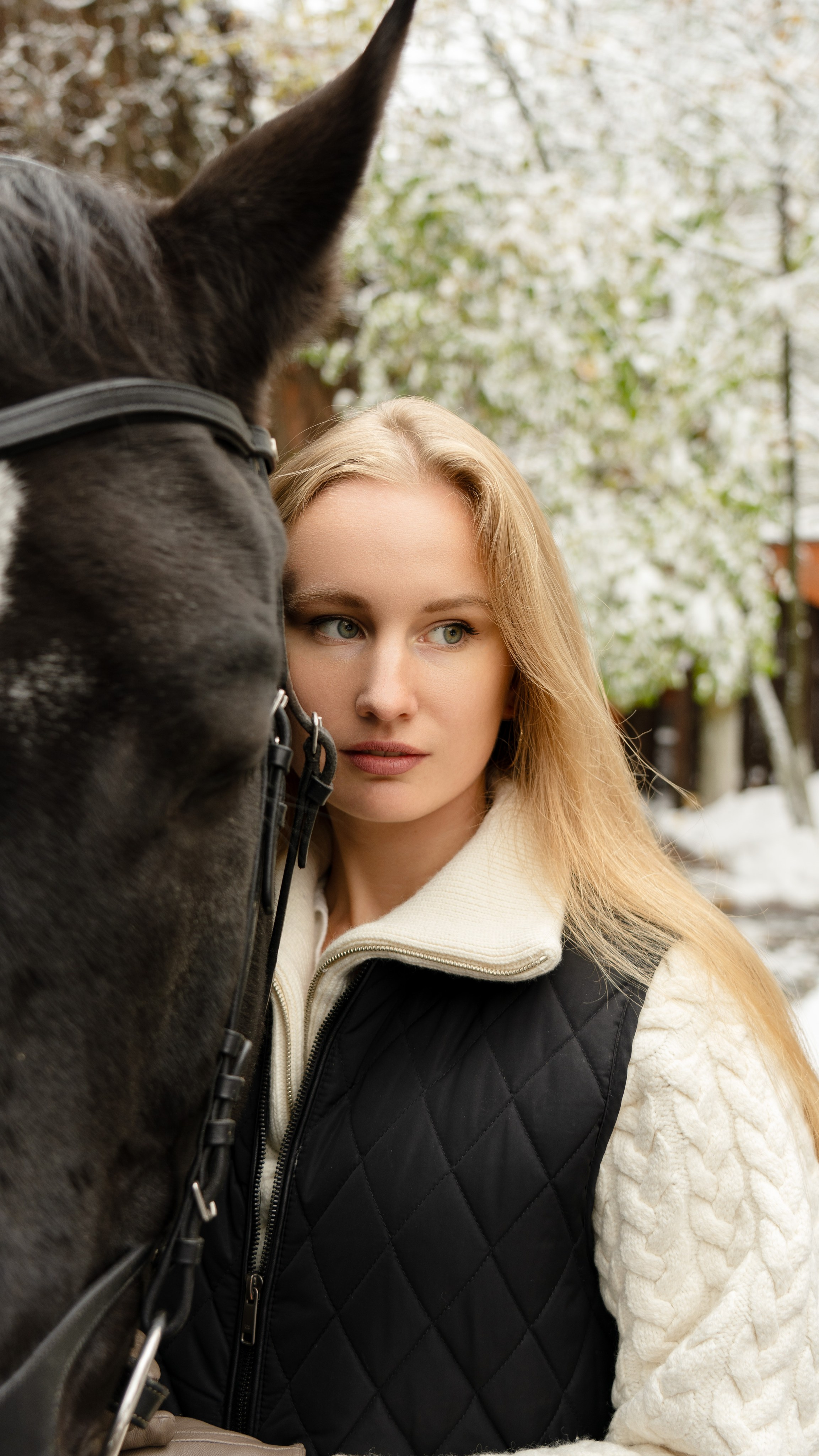 Фотосессия с лошадьми. Главная