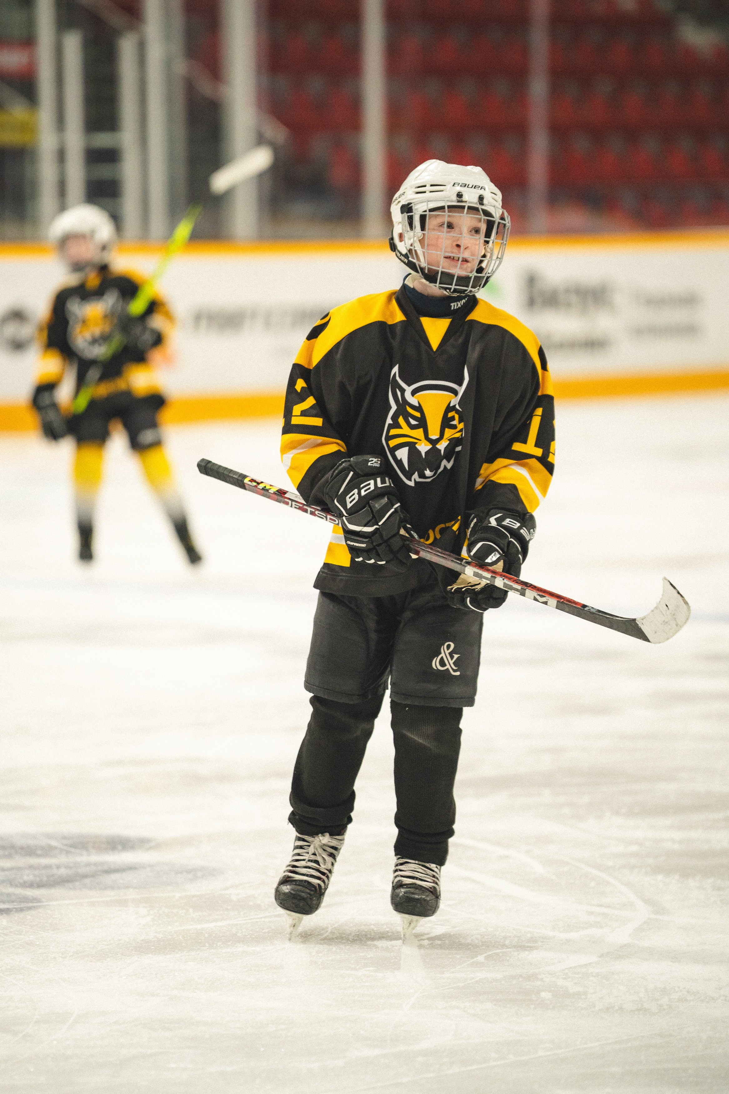 ХК Северсталь (младшая группа). Череповец. Zekons. Фото, видео, нейросети