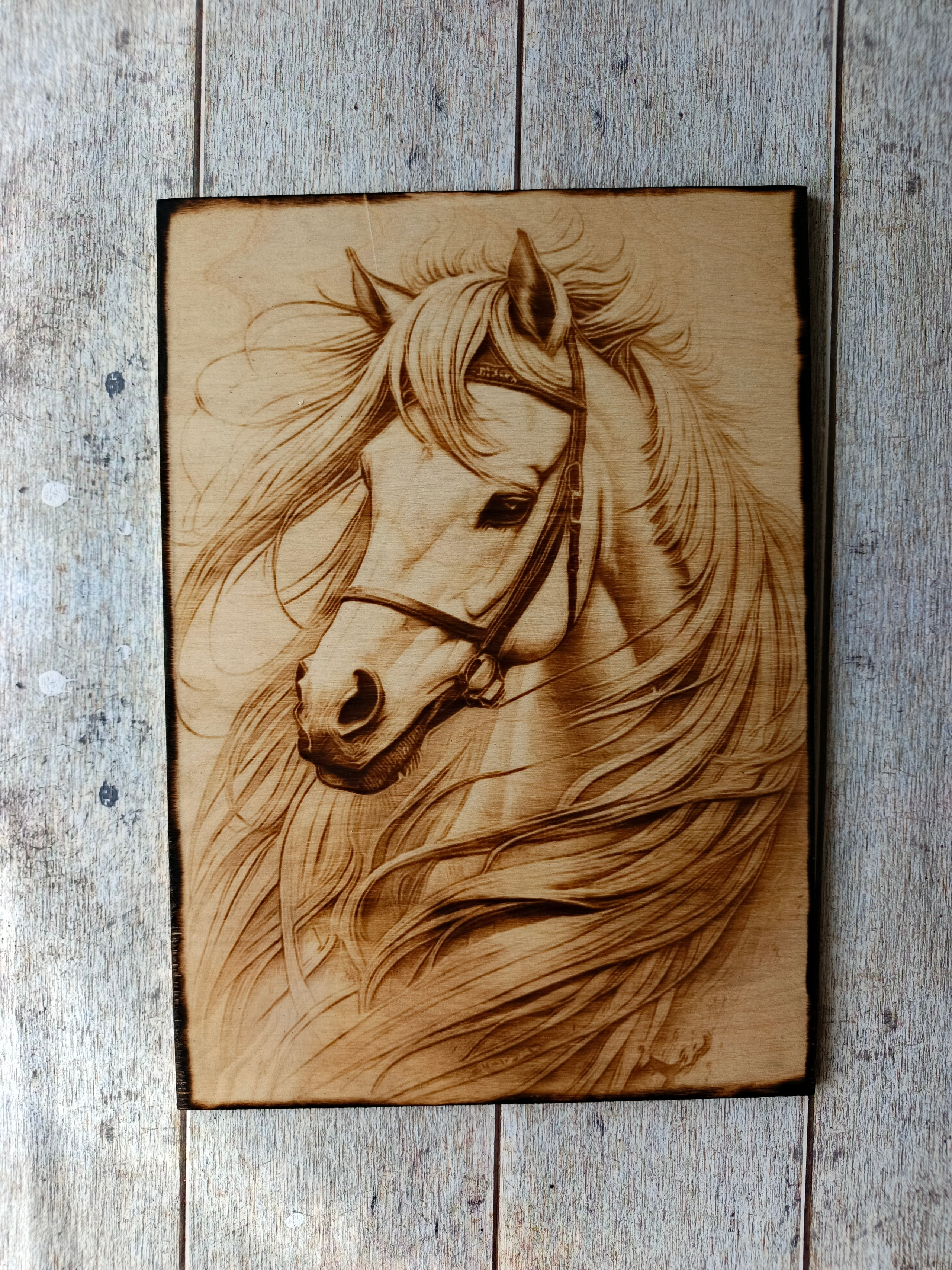 РАЗНОЕ. Выжигания картин и портретов по фото