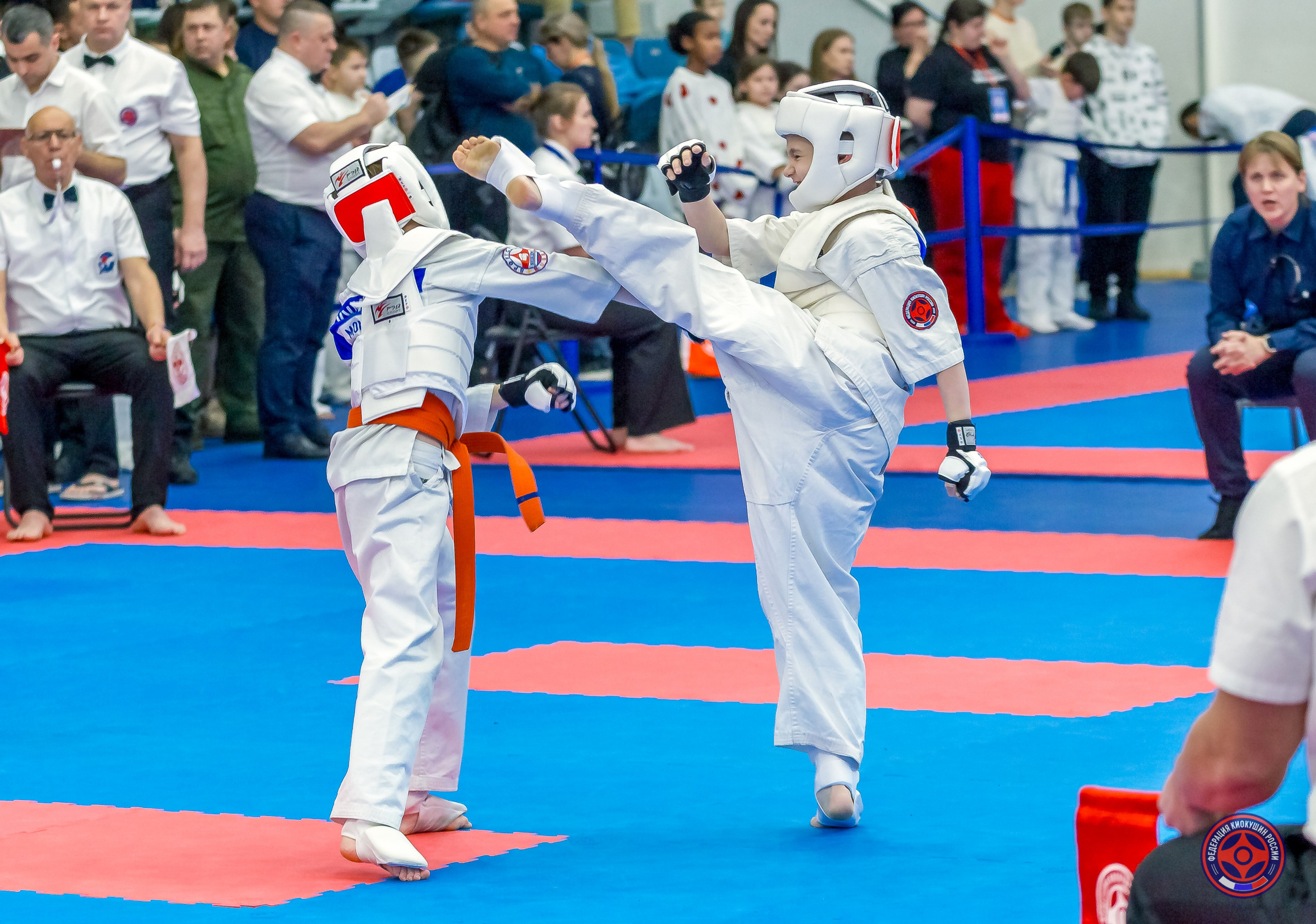 Международный турнир по киокушин «Открытый кубок Seiken». Репортажная съемка в Москве и области. Анималистика