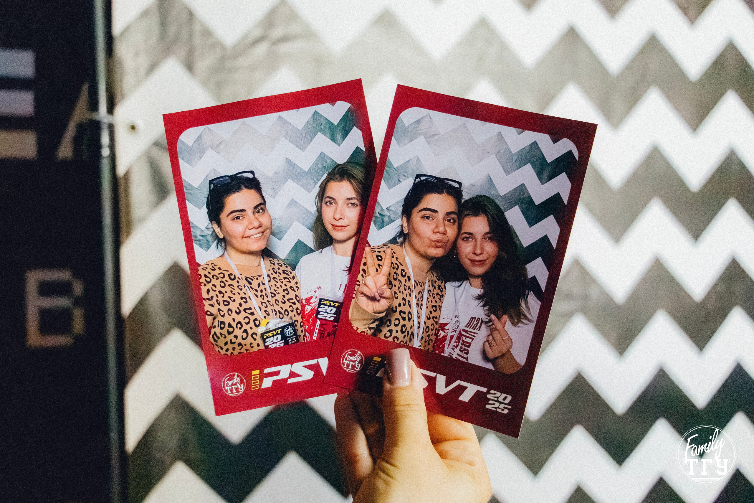 Посвят в Maison