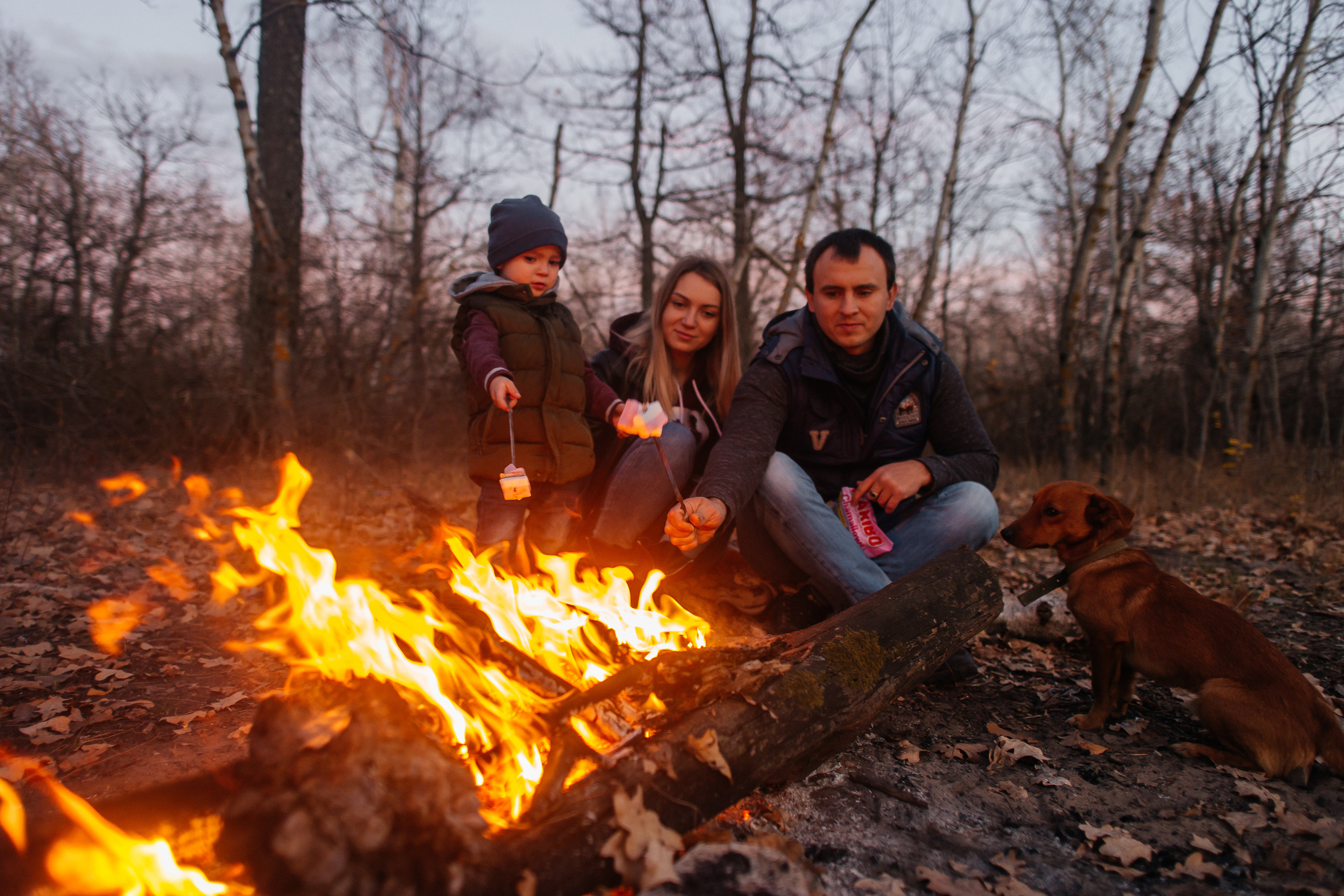 Семейный пикник. Ольга Плаксина фотограф в Саратове