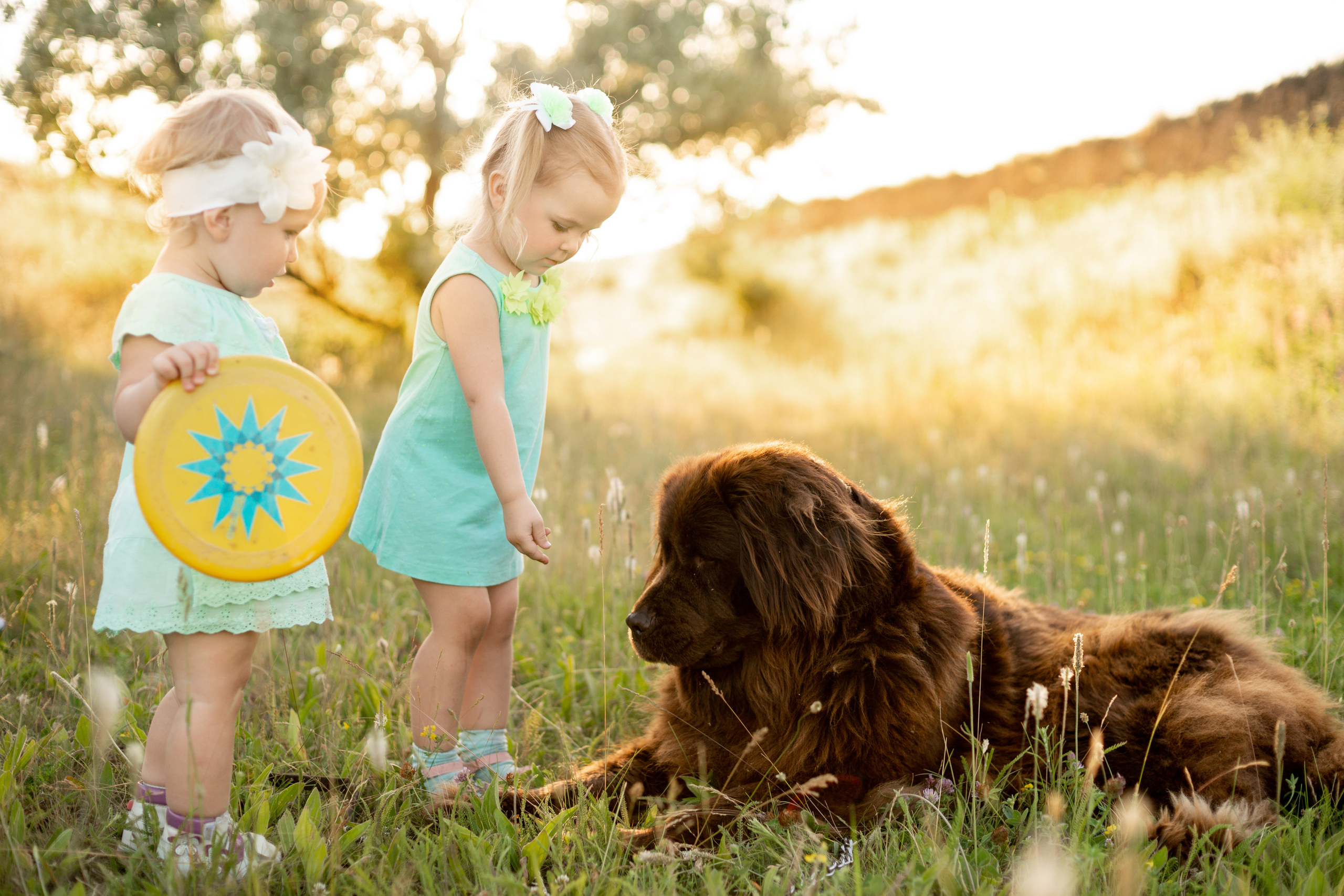 Аня, Вячеслав и дочки Соня и Лера. Ольга Плаксина фотограф в Саратове