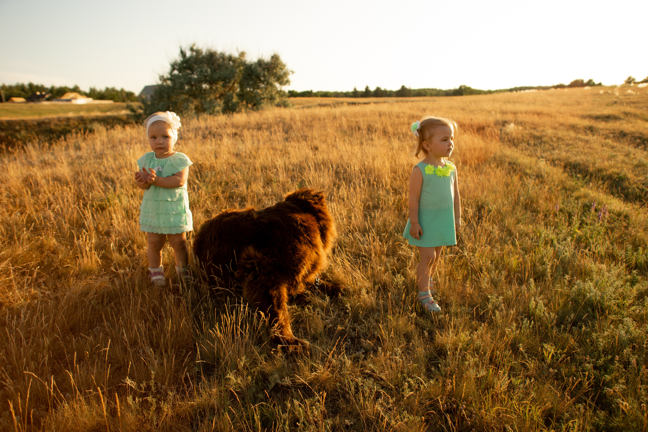 Аня, Вячеслав и дочки Соня и Лера. Ольга Плаксина фотограф в Саратове