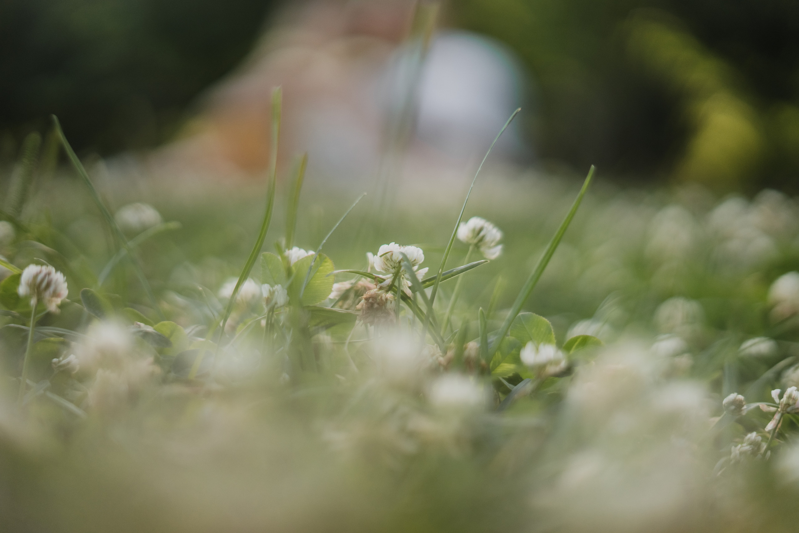 Прогулка по городу. Ольга Плаксина фотограф в Саратове