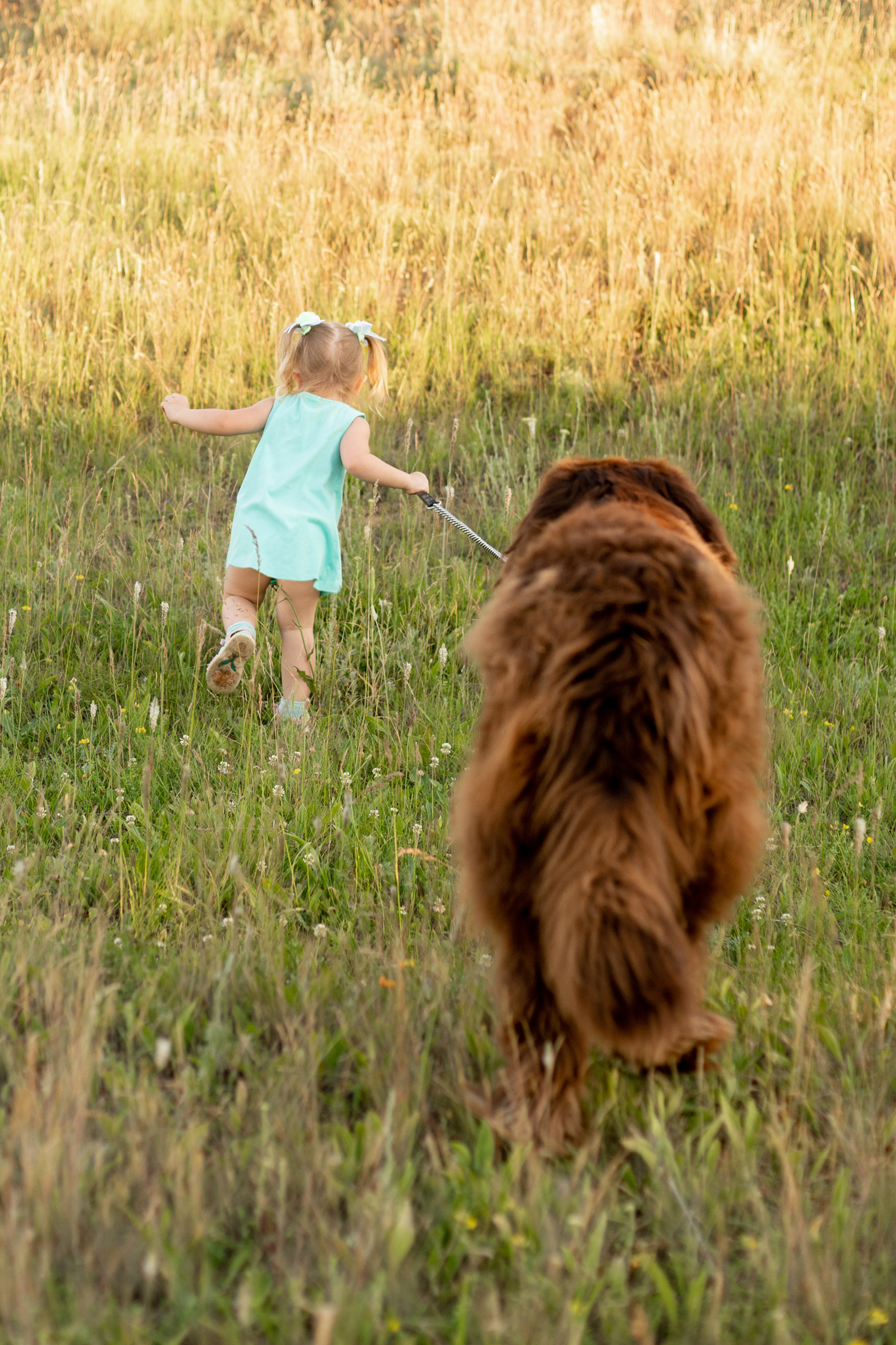 Аня, Вячеслав и дочки Соня и Лера. Ольга Плаксина фотограф в Саратове