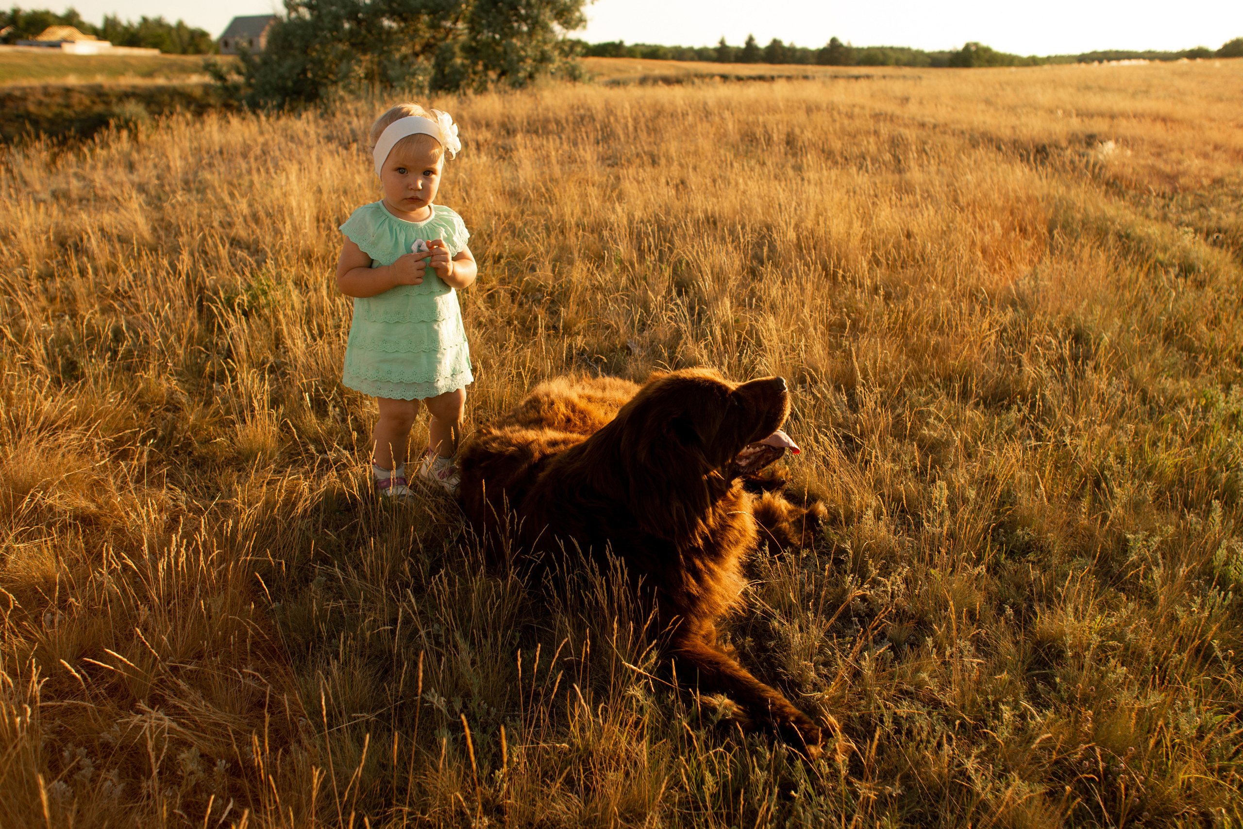 Аня, Вячеслав и дочки Соня и Лера. Ольга Плаксина фотограф в Саратове
