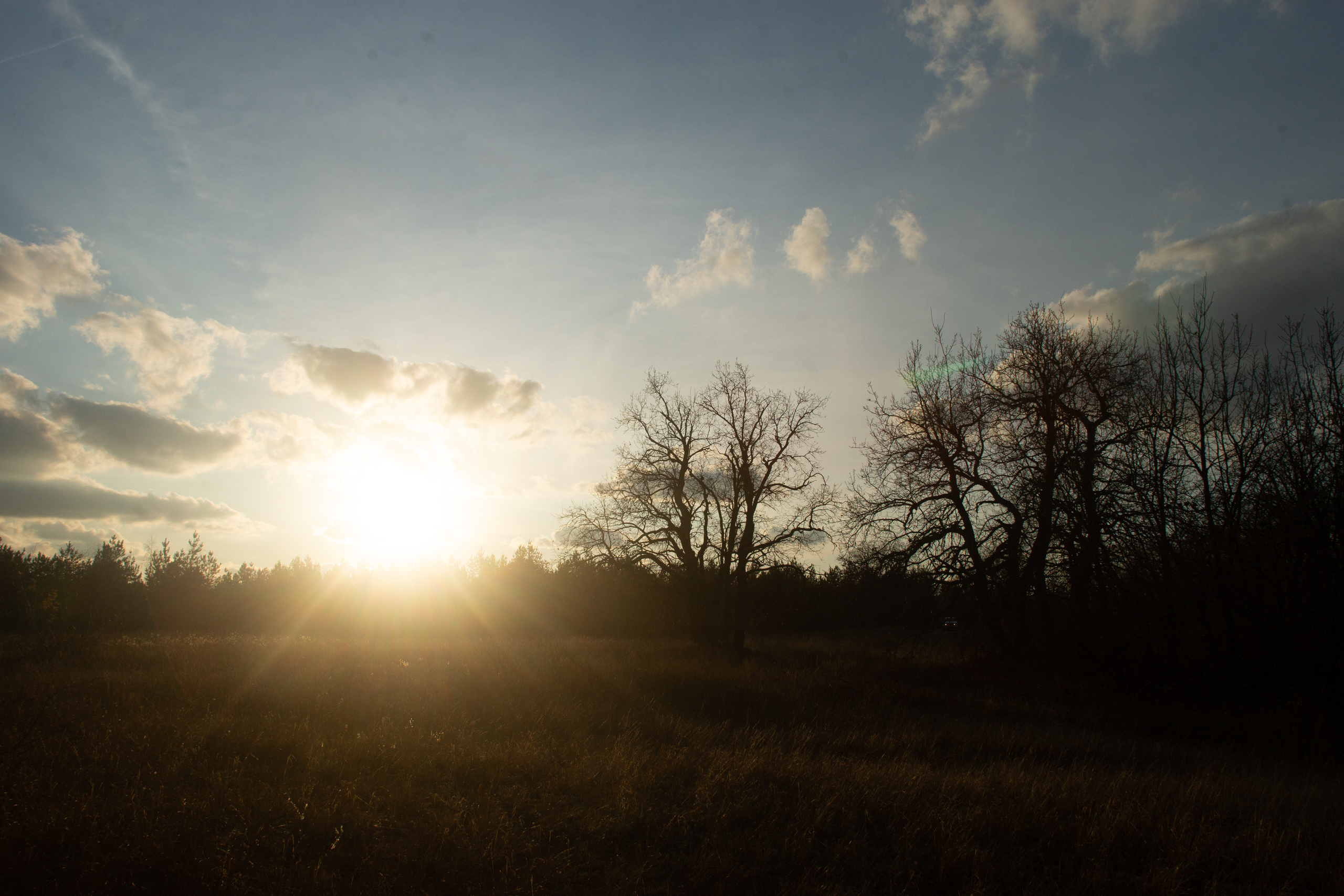 Семейный пикник. Ольга Плаксина фотограф в Саратове
