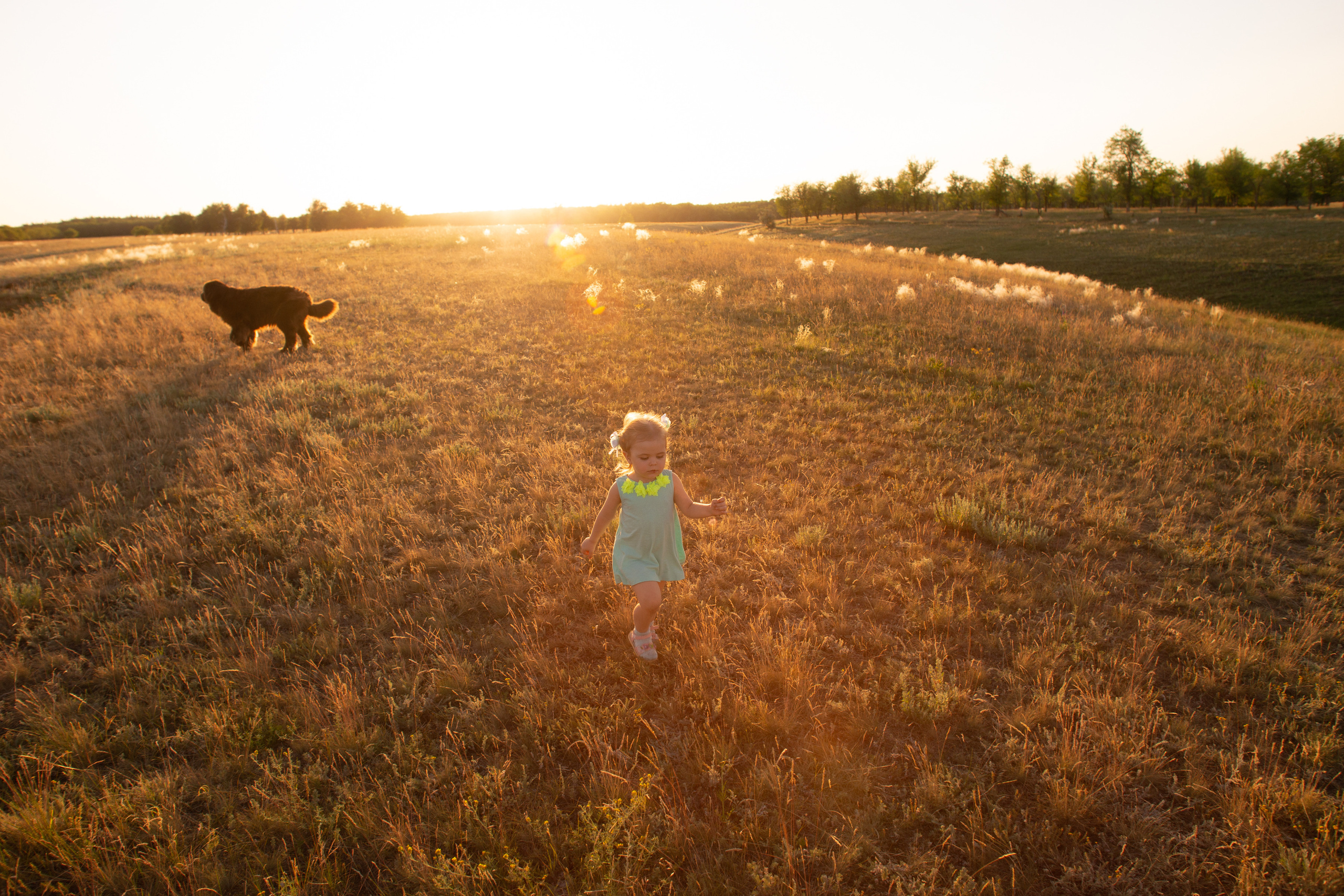 Аня, Вячеслав и дочки Соня и Лера. Ольга Плаксина фотограф в Саратове