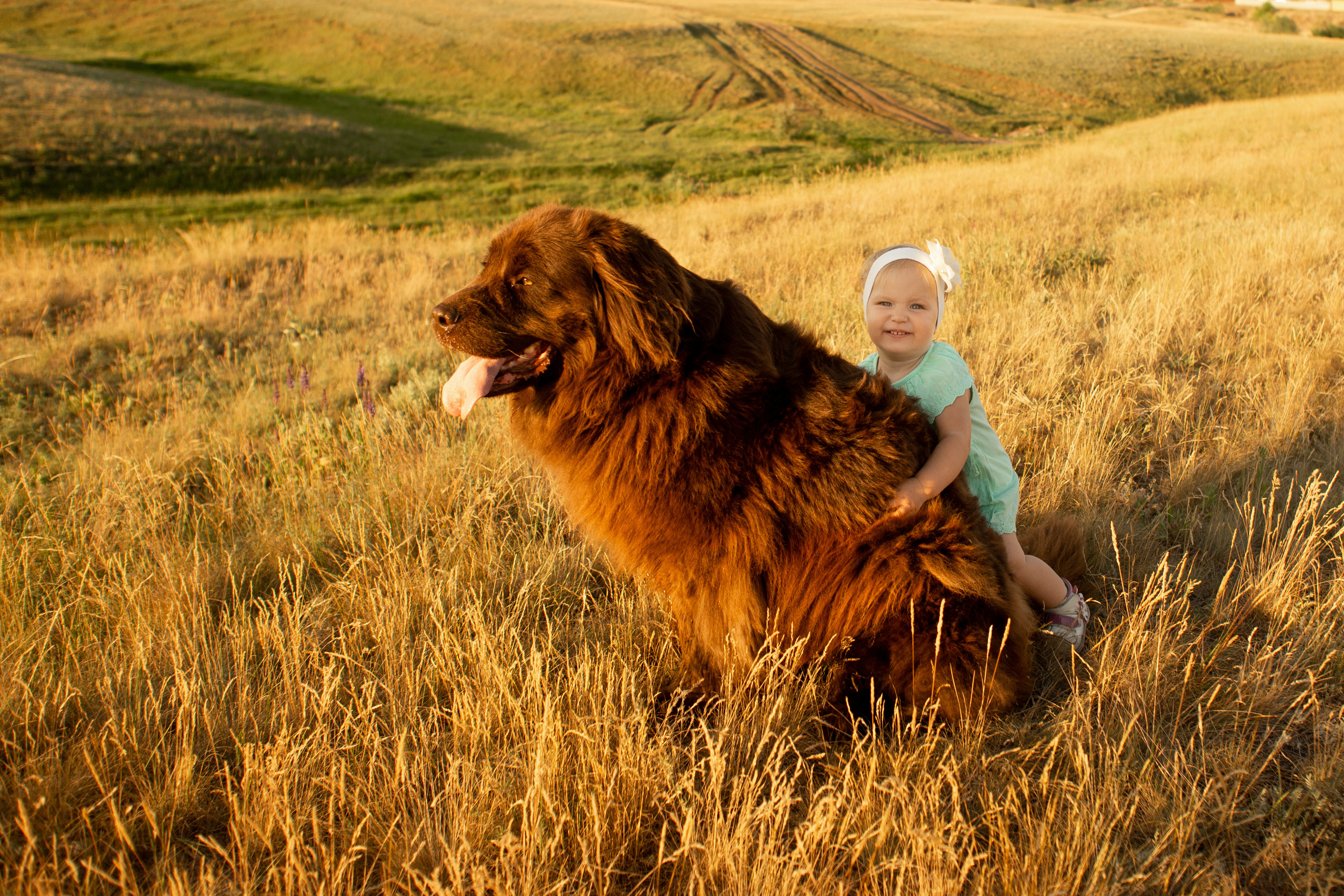 Аня, Вячеслав и дочки Соня и Лера. Ольга Плаксина фотограф в Саратове