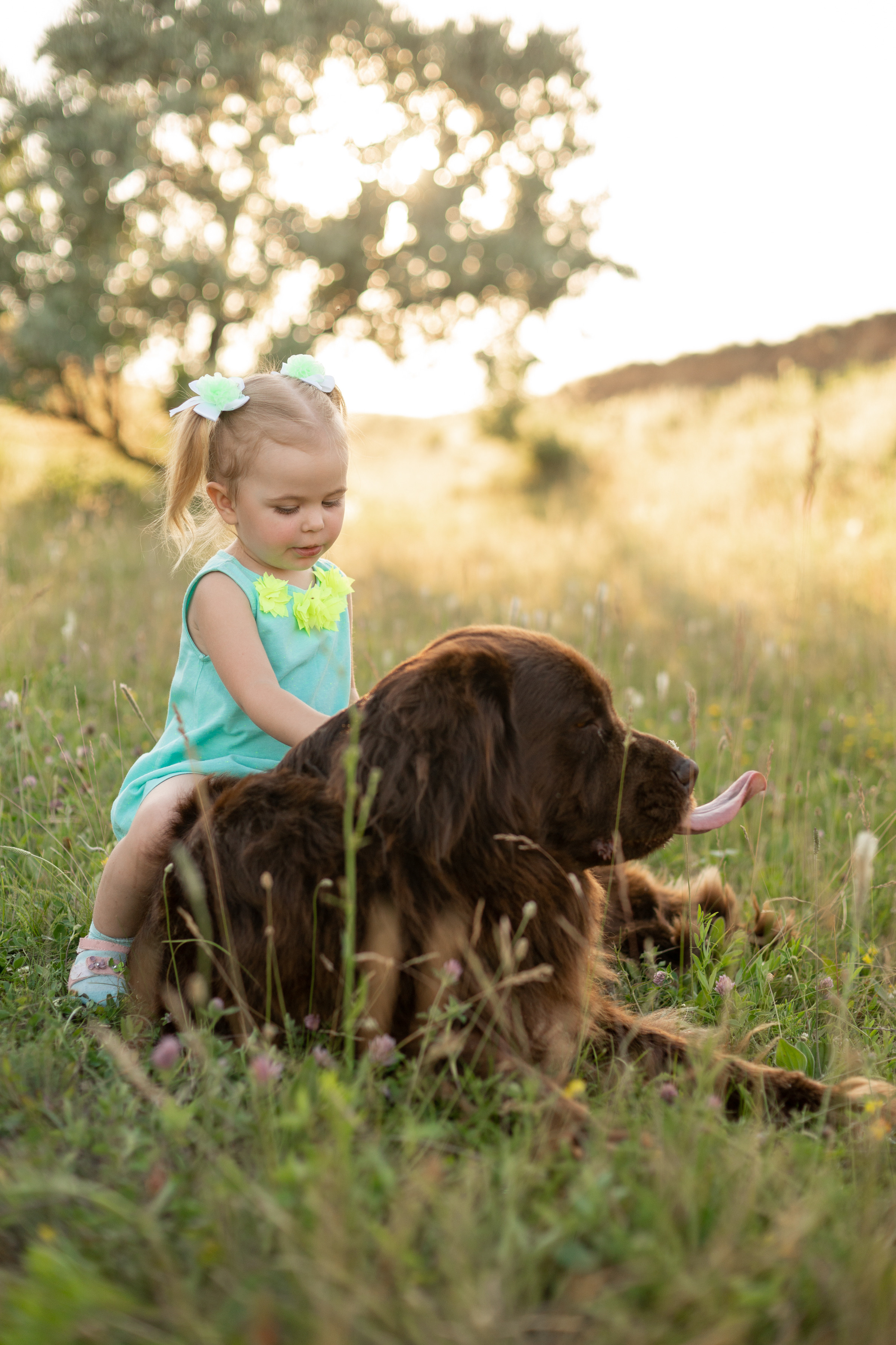 Аня, Вячеслав и дочки Соня и Лера. Ольга Плаксина фотограф в Саратове