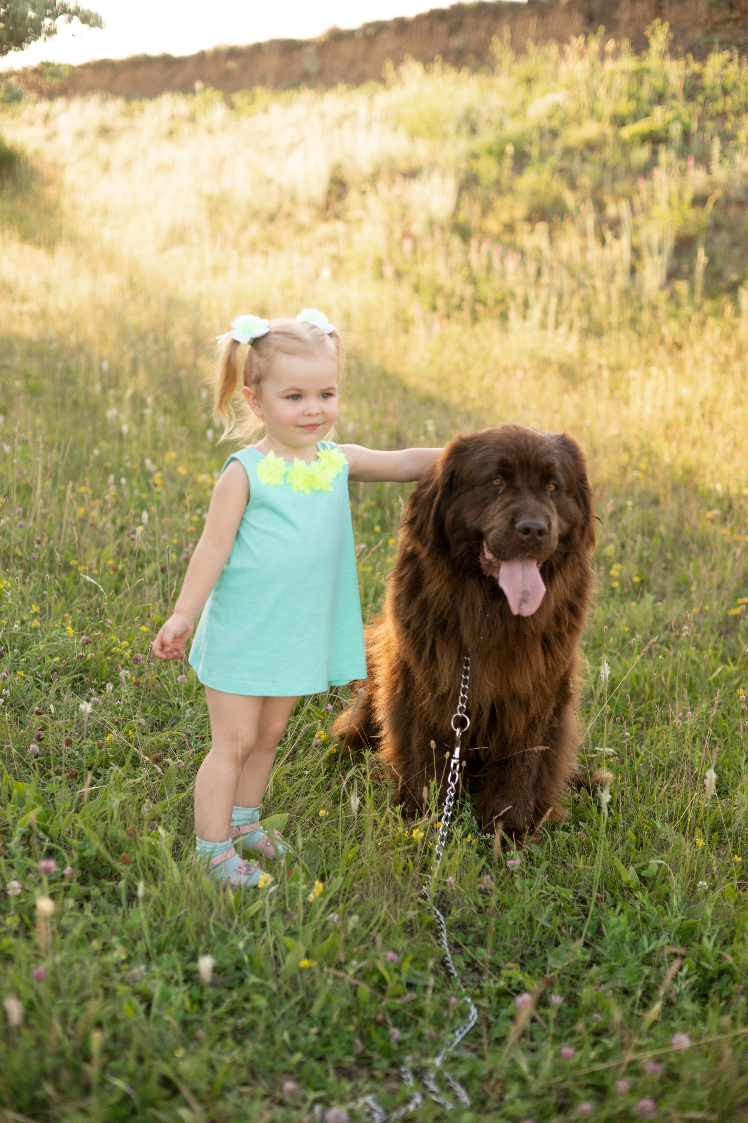 Аня, Вячеслав и дочки Соня и Лера. Ольга Плаксина фотограф в Саратове