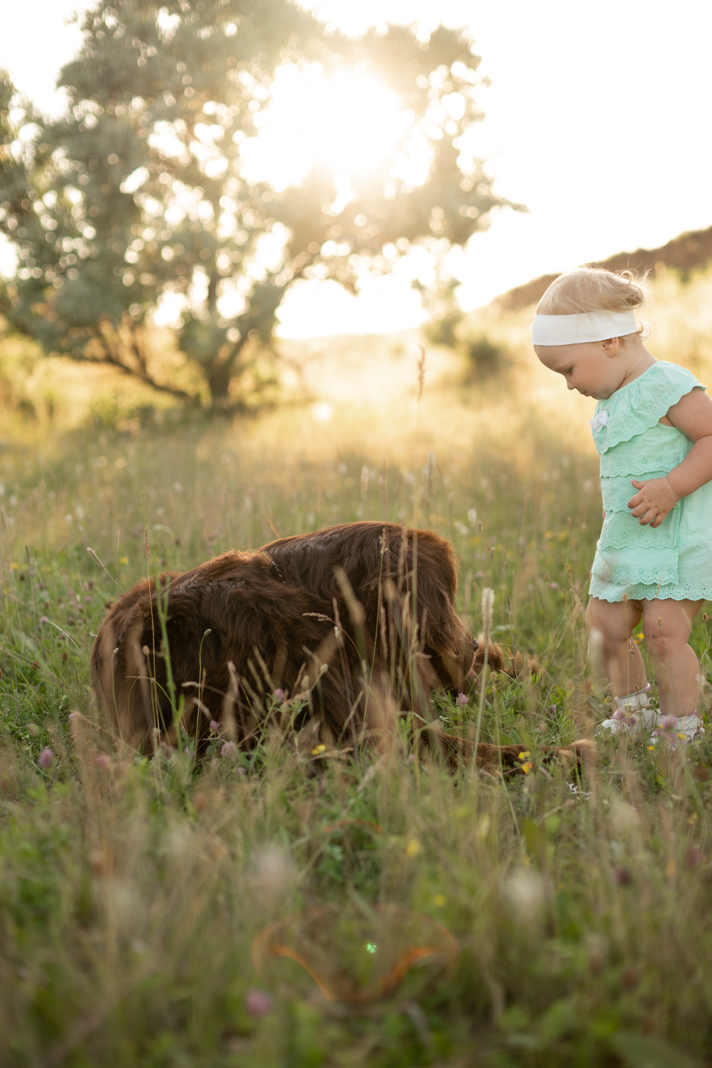 Аня, Вячеслав и дочки Соня и Лера. Ольга Плаксина фотограф в Саратове