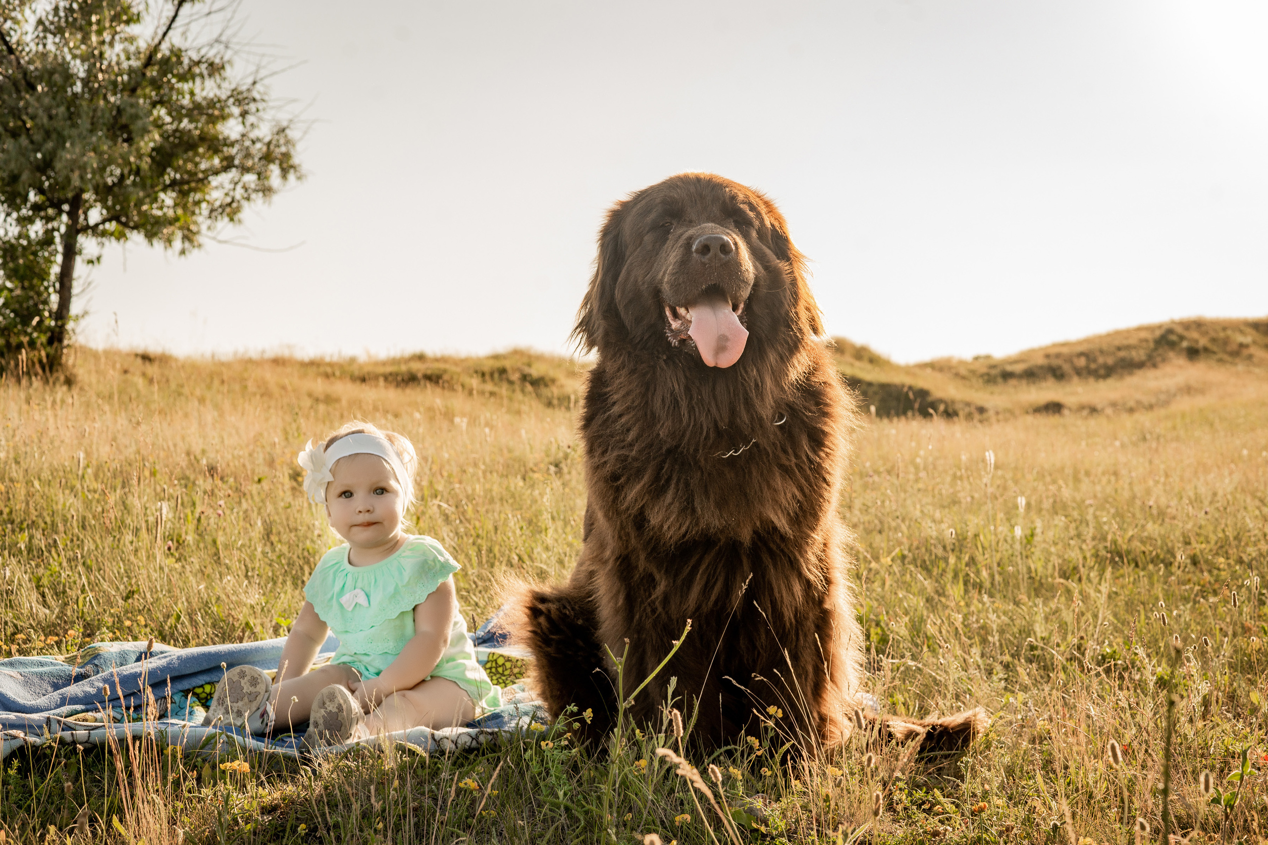 Аня, Вячеслав и дочки Соня и Лера. Ольга Плаксина фотограф в Саратове