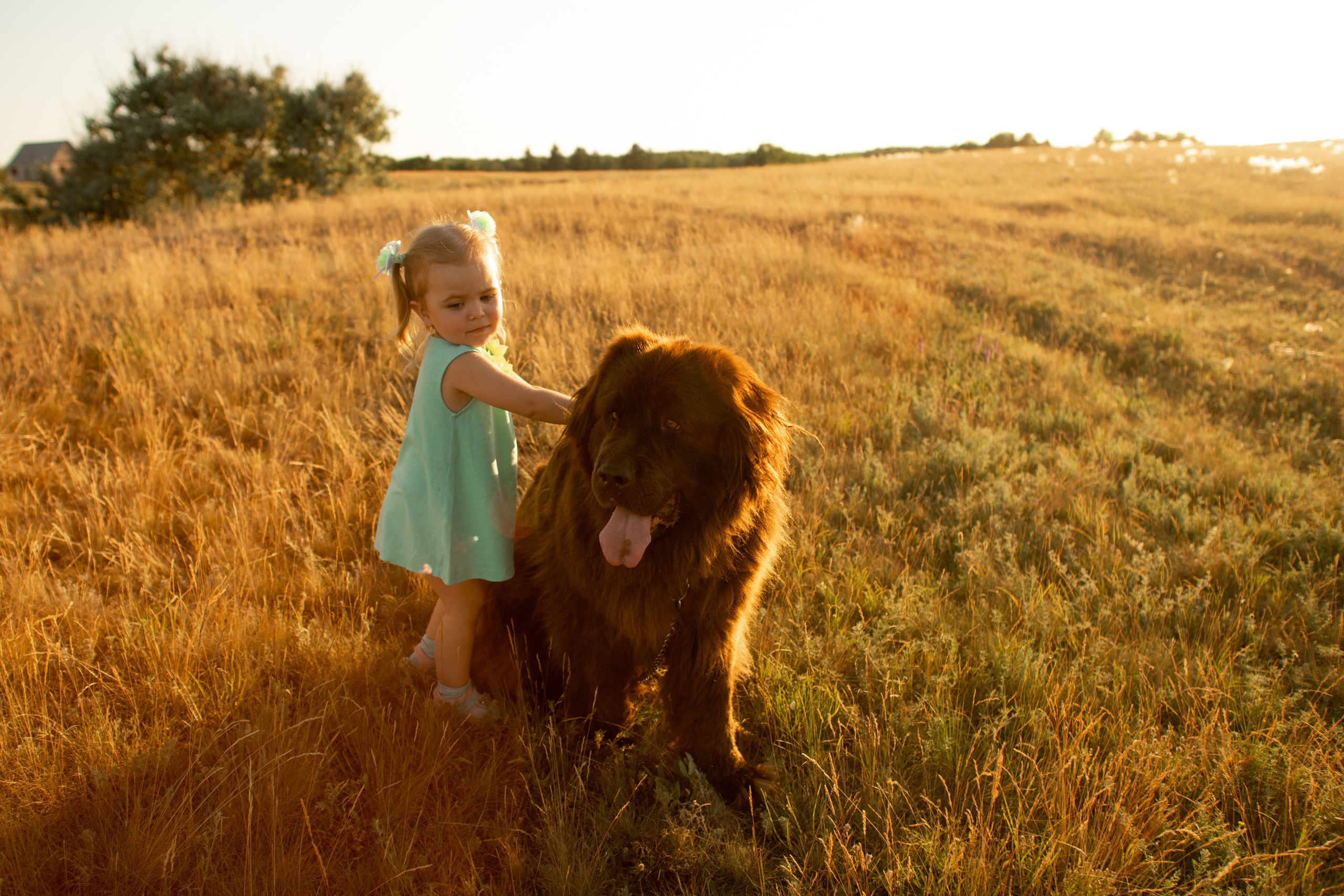 Аня, Вячеслав и дочки Соня и Лера. Ольга Плаксина фотограф в Саратове