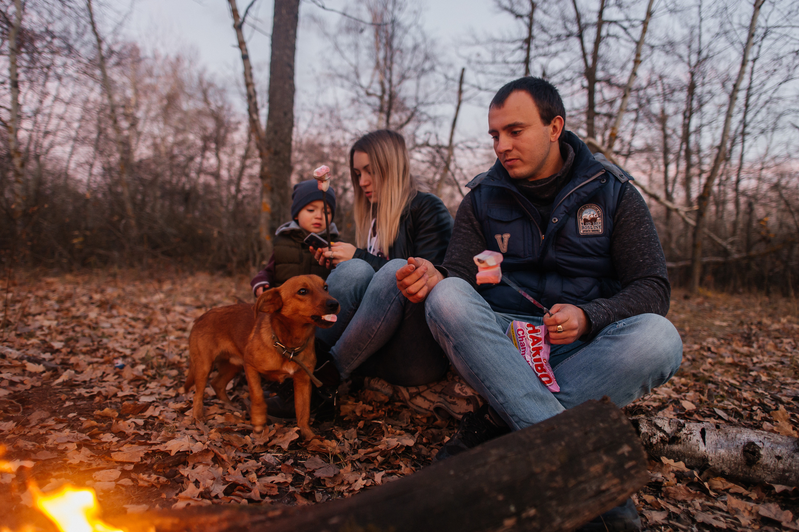 Семейный пикник. Ольга Плаксина фотограф в Саратове