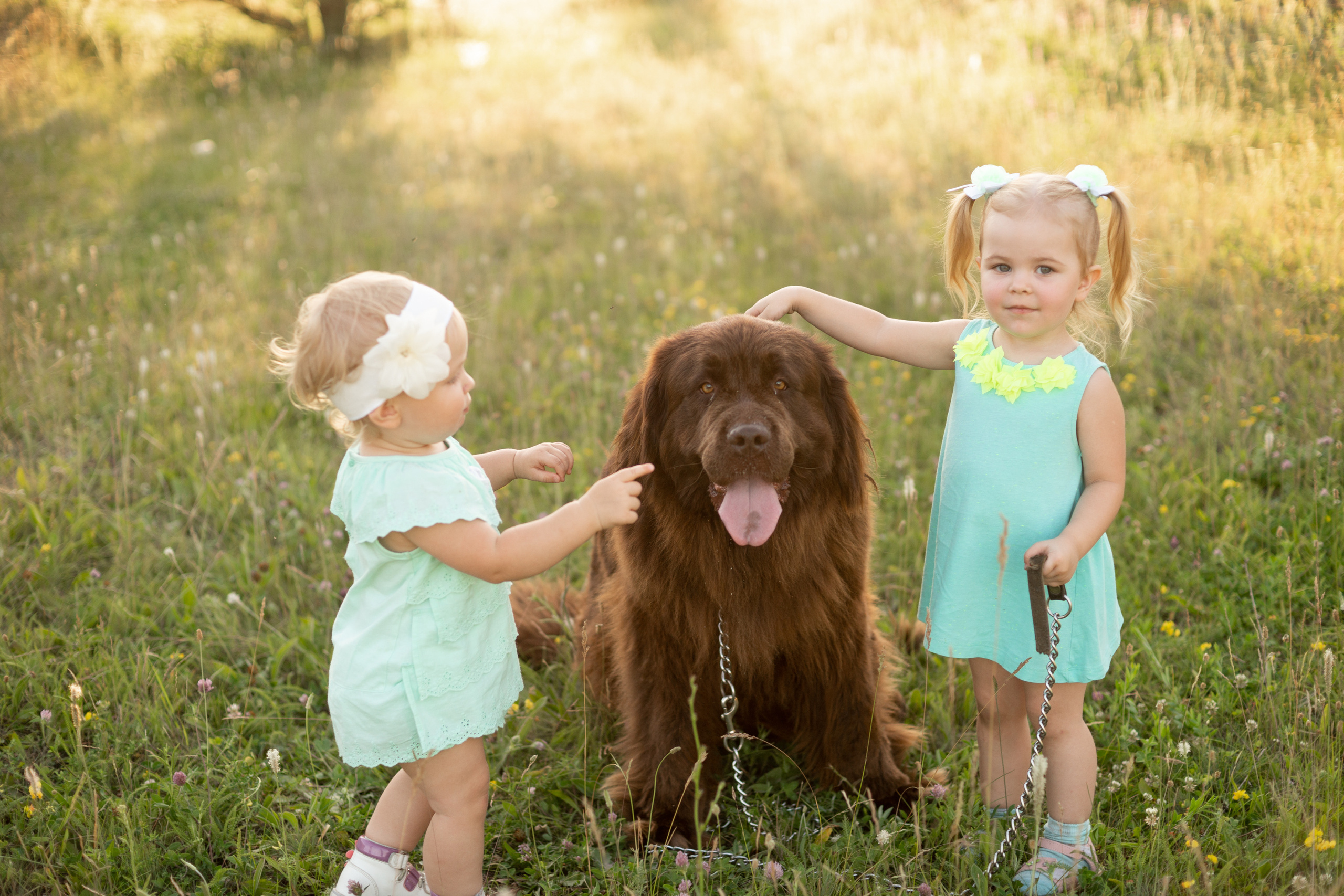 Аня, Вячеслав и дочки Соня и Лера. Ольга Плаксина фотограф в Саратове